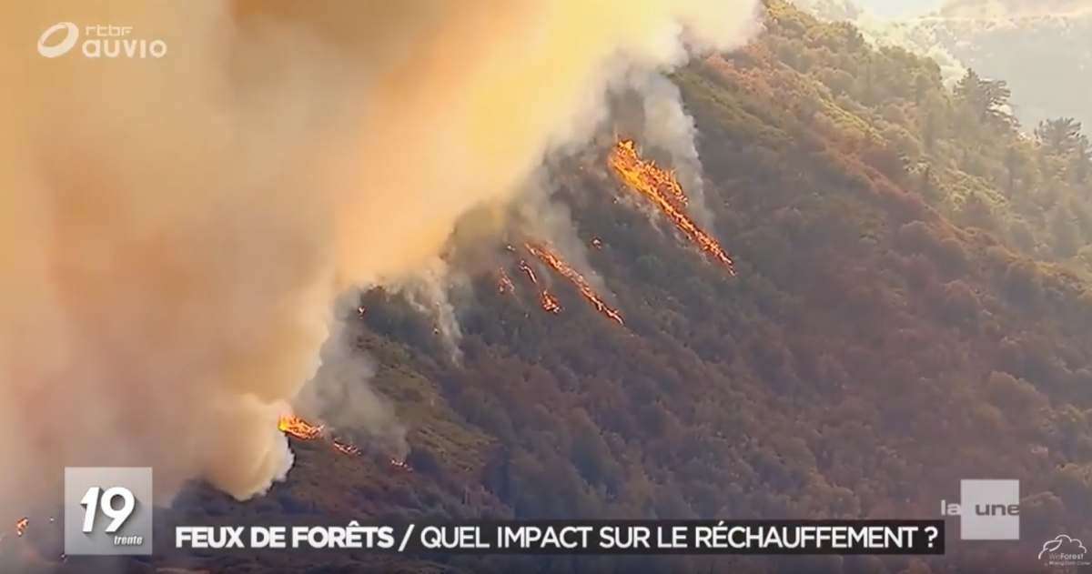 2018_Nov3_WeForest in Belgian News