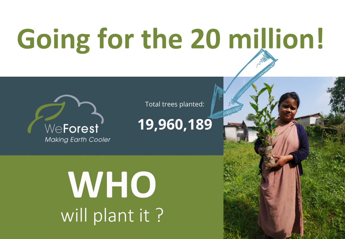 2019_20Millionth Tree