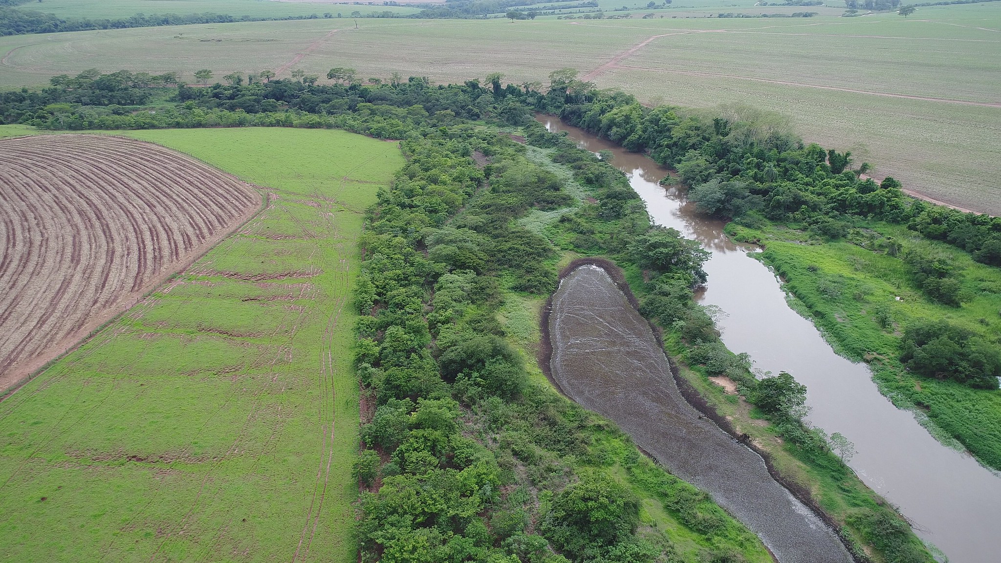 AES Brasil is already restoring sites that the Brazilian Forest Code requires to be placed under restoration. The Tietê Forests project focuses on additional sites where this is not obligatory by law. © AES