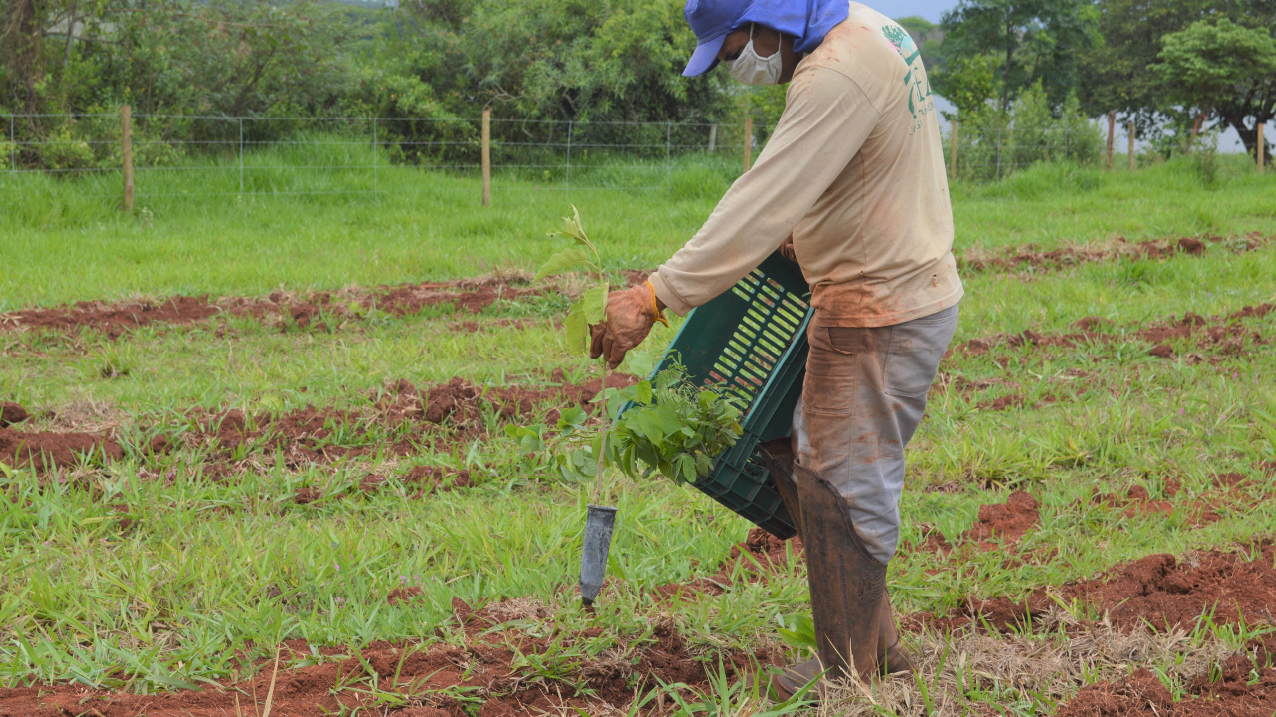 By actively planting native vegetation, the project is enhancing a wildlife corridor and helping protect the river basin from erosion. © WeForest