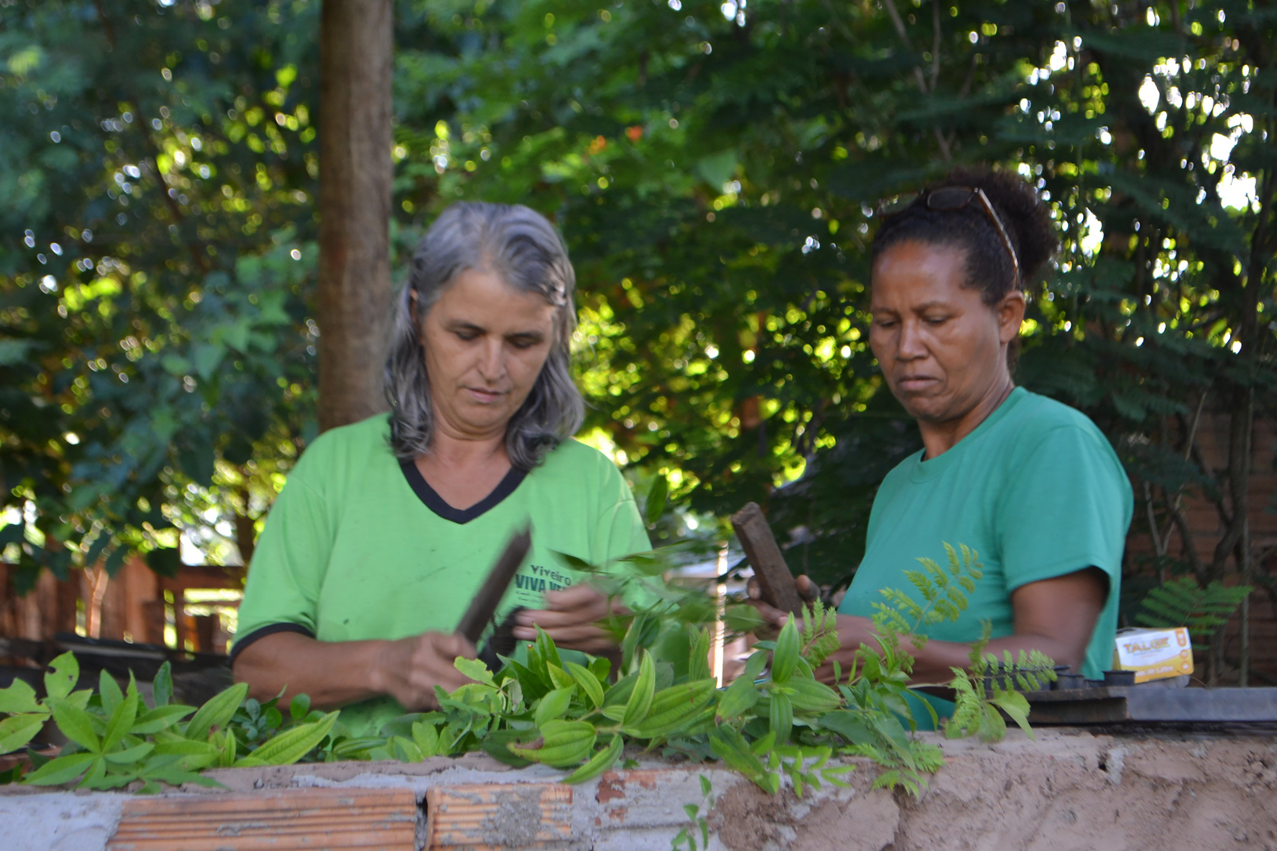 The community-based nurseries around the restoration sites are run by local female entrepreneurs, and enable them to become financially independent. © IPÊ