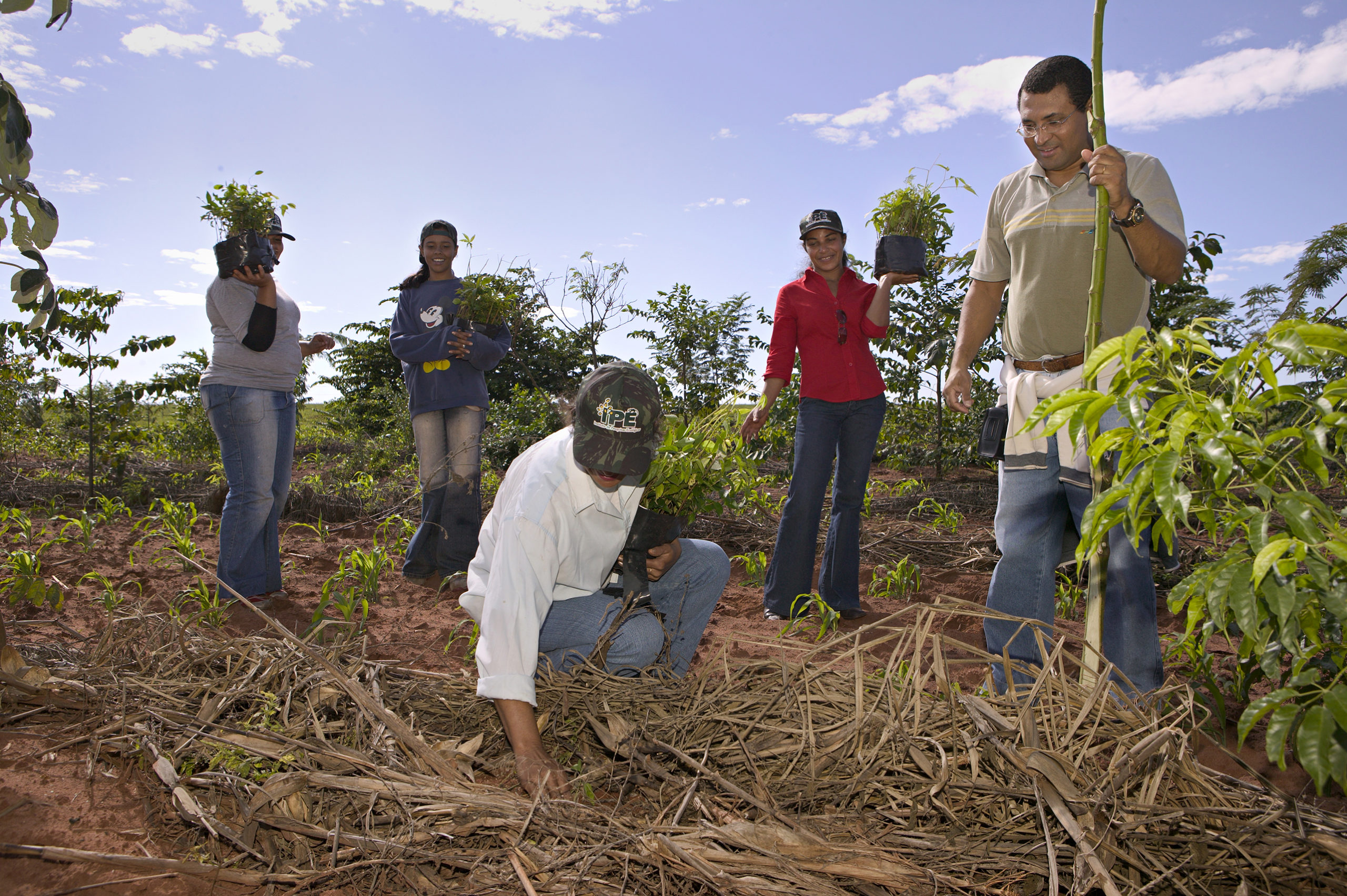 Various training sessions in forestry techniques are provided to the people of the community several times during the year. © IPÊ