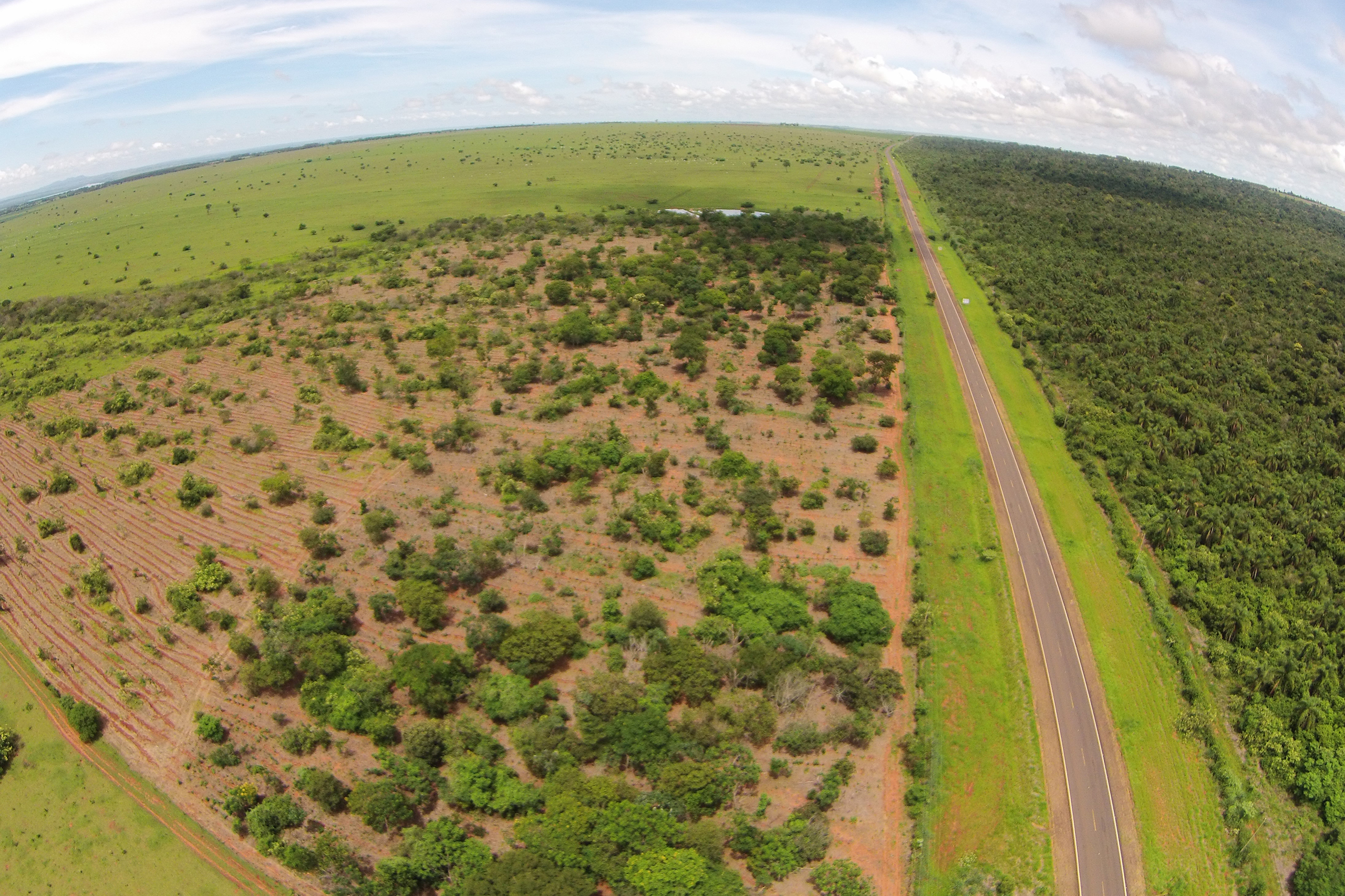 We will win this battle against deforestation when people start making a living from restoring and protecting forests, and not from cutting the trees. © IPÊ