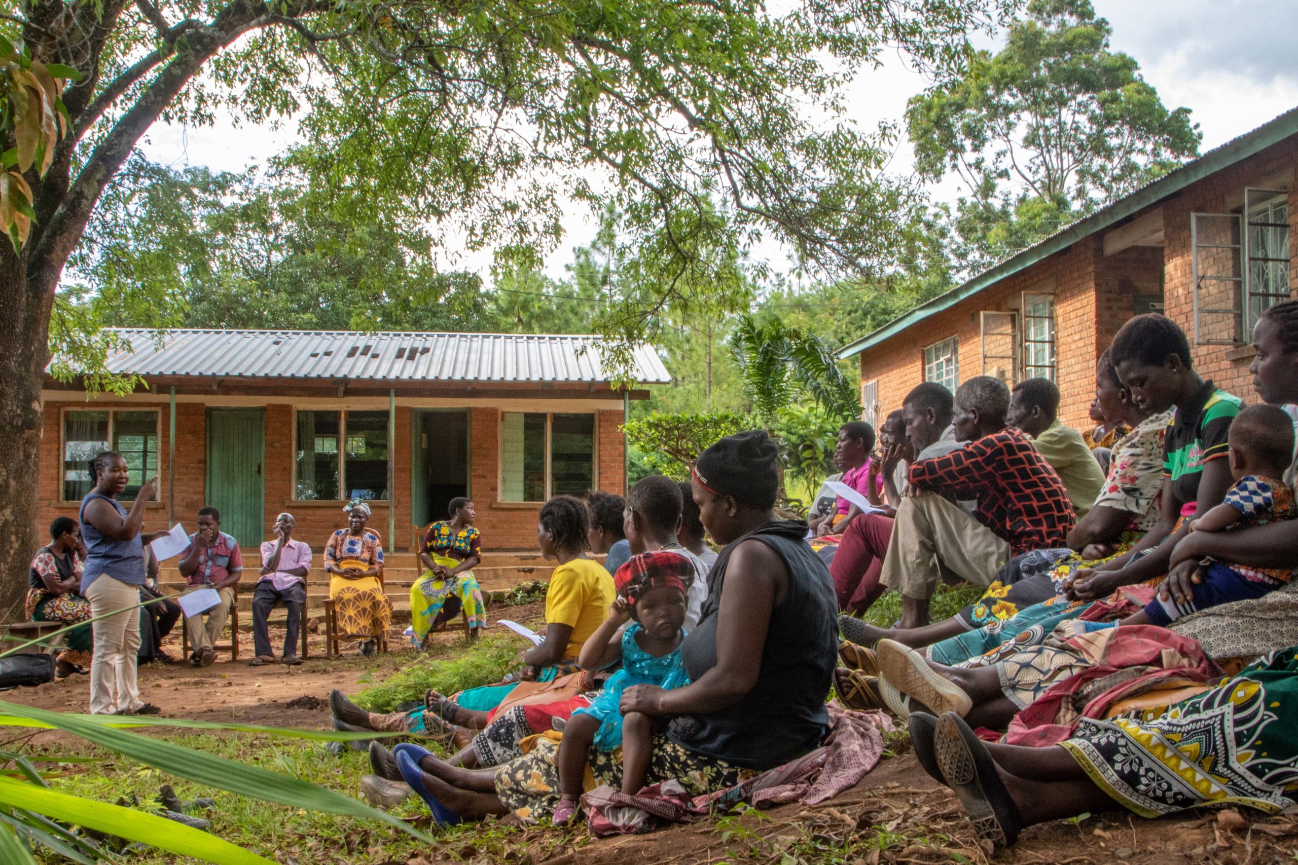A healthy forest is essential for the water supply of the surrounding villages, local agriculture (tea and macadamia plantations) as well as for Blantyre, the economic capital of Malawi in the South. © Ruben Foquet, WeForest