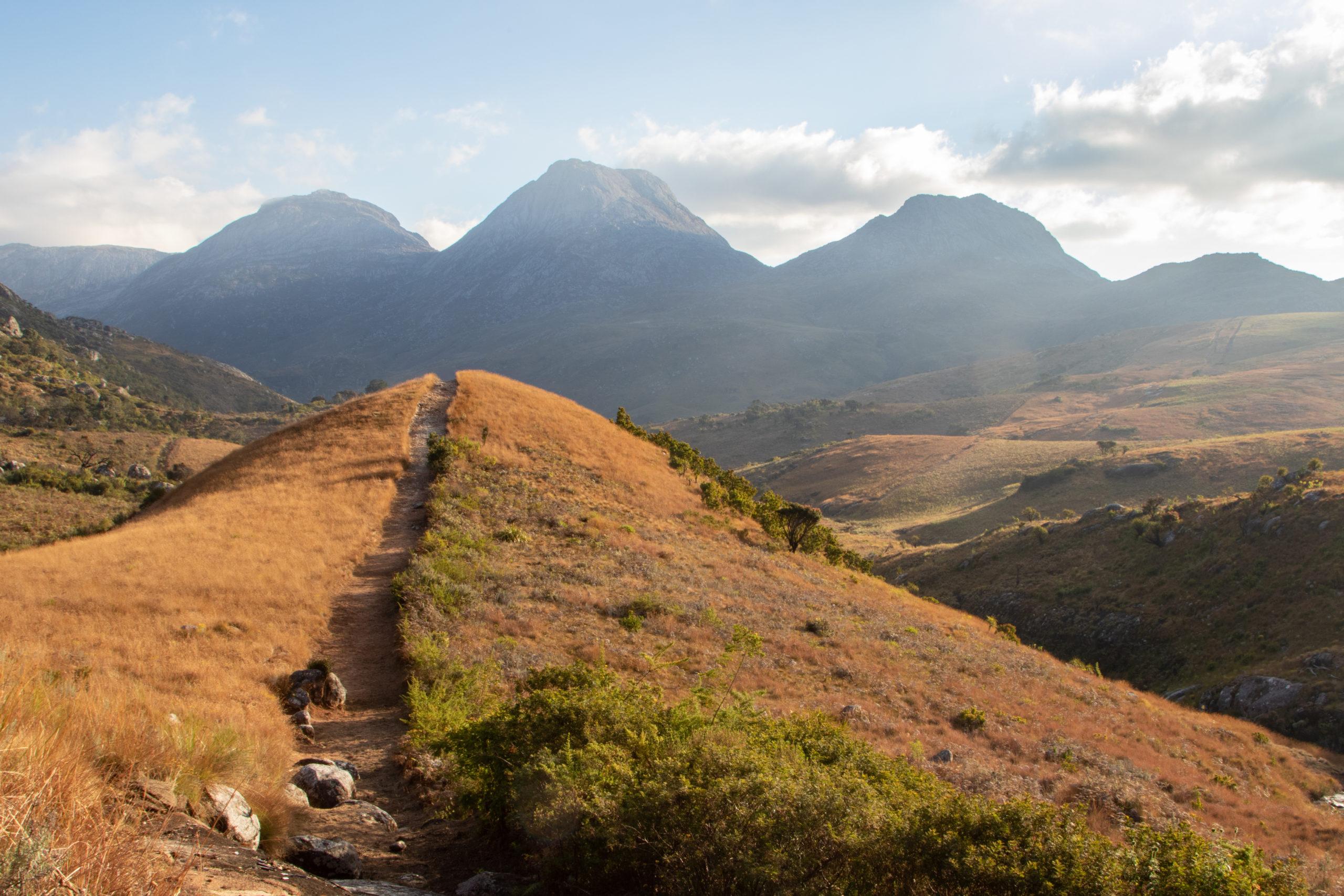 Fire is a real risk here, and maintaining fire breaks on the mountain is crucial for the survival of the growing seedlings. Altogether every year, approximately 700 km of firebreaks on top of the mountain are maintained. © Ruben Foquet, WeForest