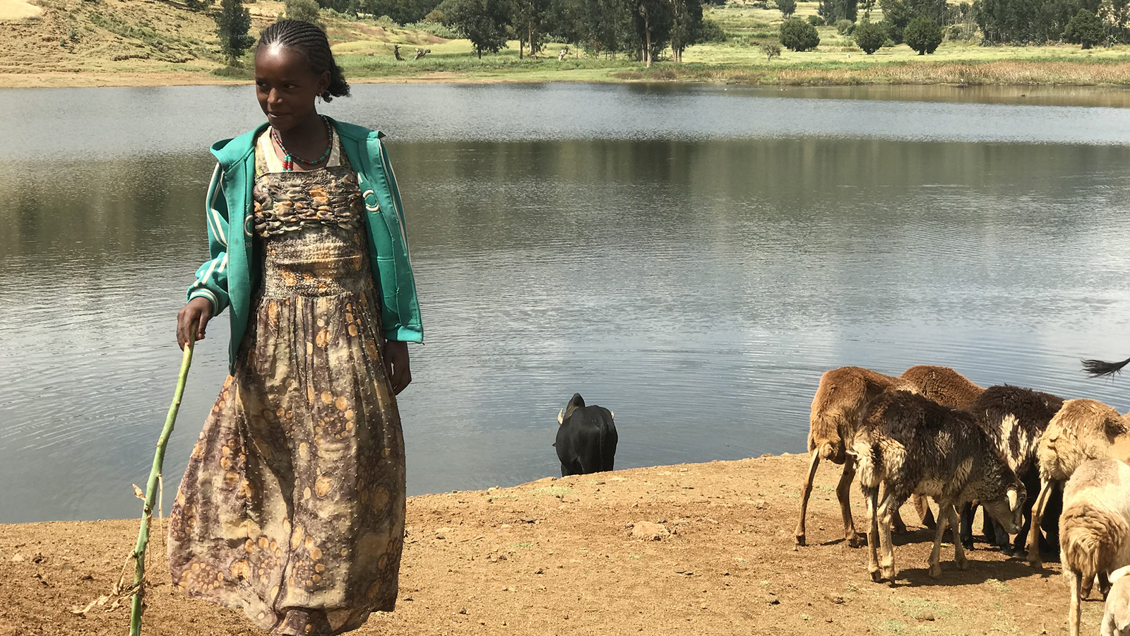 By combining forest restoration with livelihood improvement programmes, we focus on improving natural resource governance and the socio-economic resilience of communities living in and around the forest, with a special focus on women, the landless, subsistence farmers and youth. © WeForest