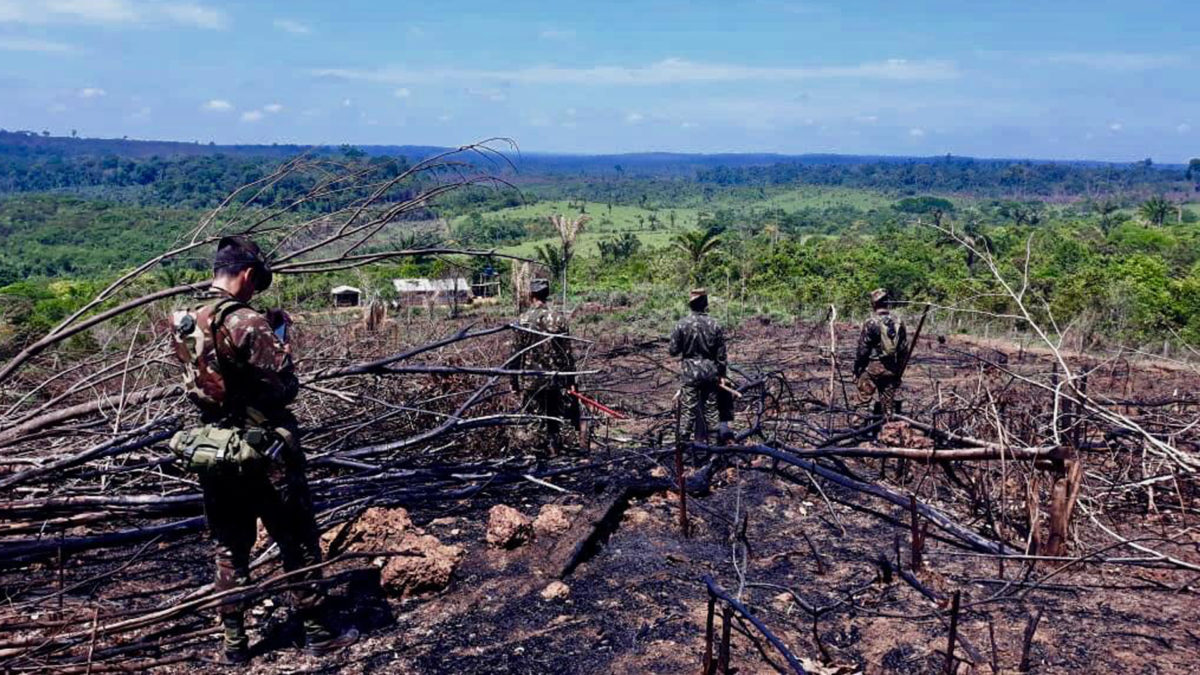 Apuí is the second most deforested municipality in Amazonas State, and has the highest rate of fire outbreaks in the Amazon. While some fires can be caused naturally, most are started by farmers and loggers clearing land for crops or grazing. In 2019 and again in 2020, parts of the Amazon burned at a rate not seen in years. © IDESAM