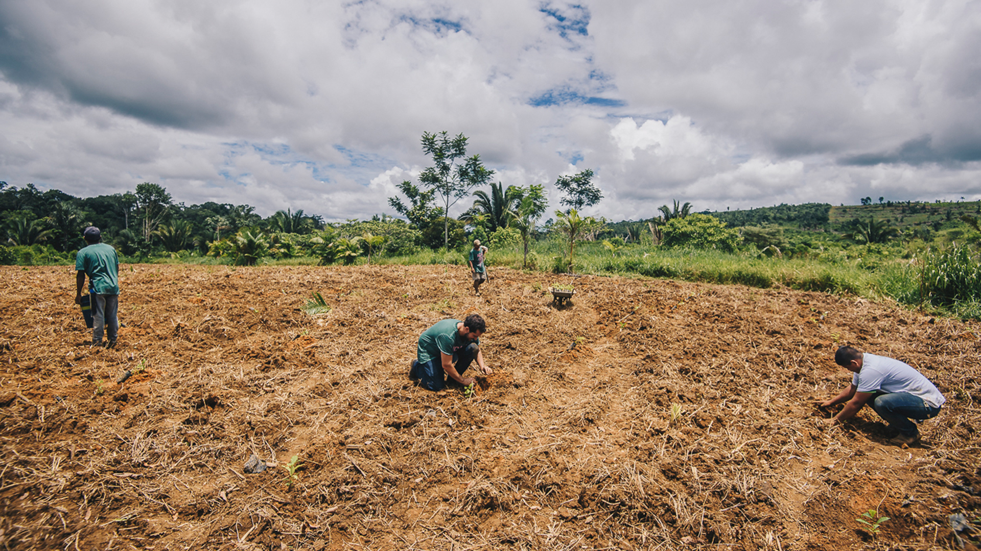 BRA_APU_Planting_©IDESAM_