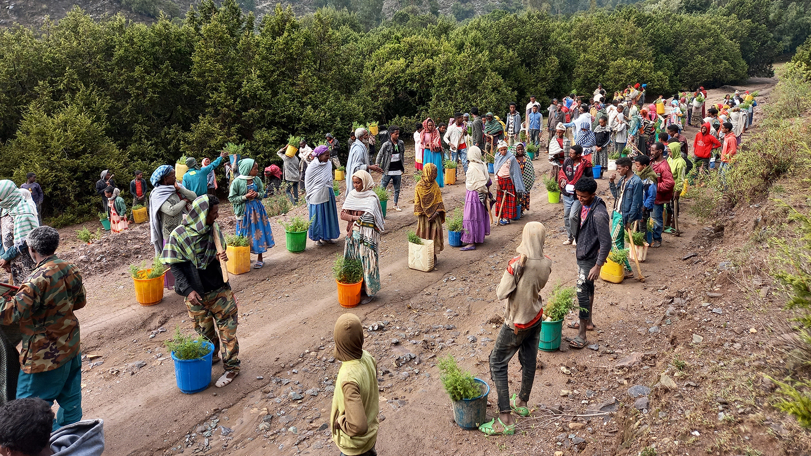 WeForest has been working since 2016 to directly restore and protect nearly 40 000 ha of the forest through Assisted Natural Regeneration (ANR) and Enrichment Planting. © WeForest