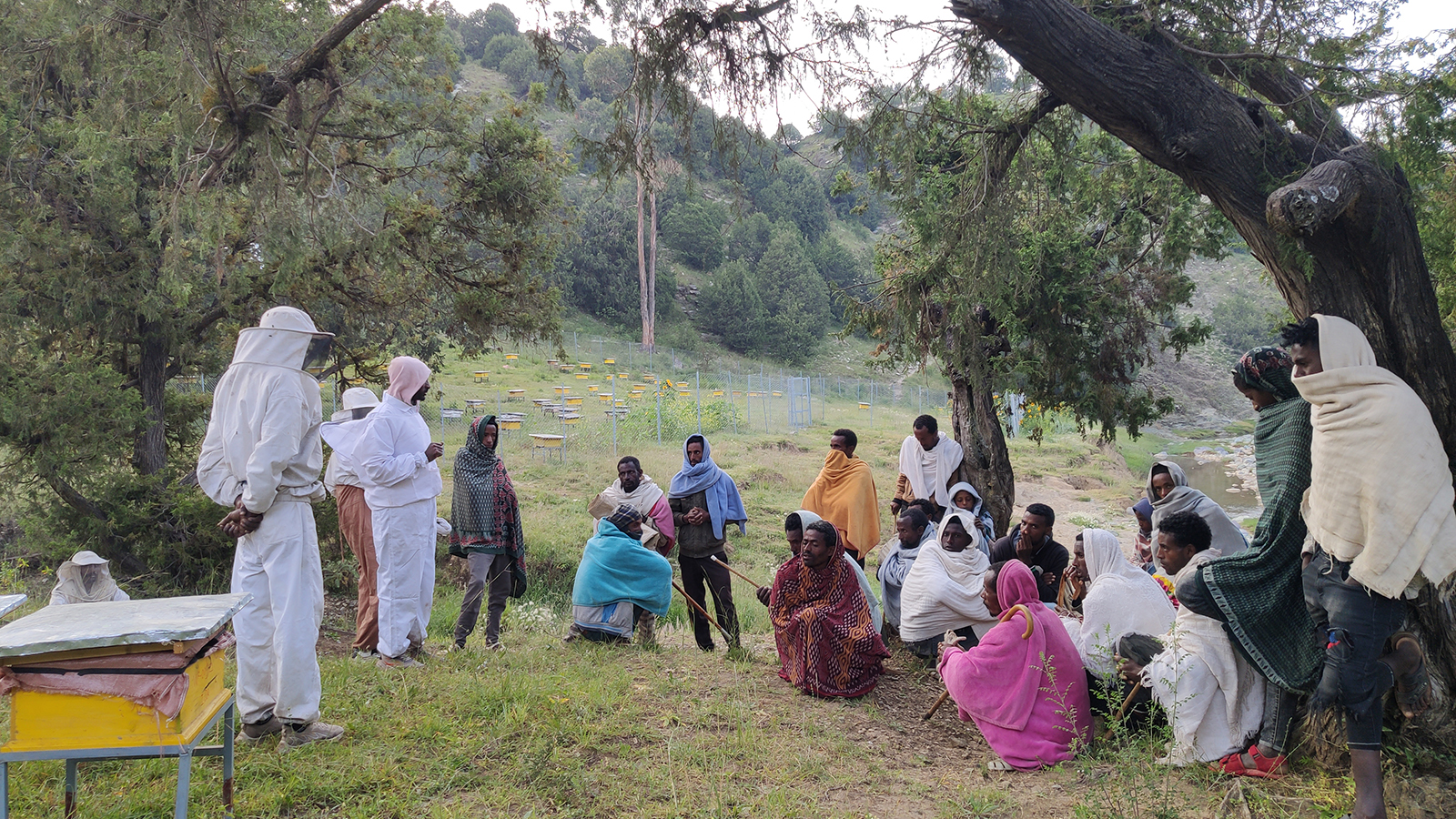 Examples of income-generating activities are beekeeping, poultry, sheep, high-value trees and vegetable seeds, efficient cookstoves, solar lights and the employment of forest guards. The project also establishes and strengthens rural schools’ environmental clubs. © WeForest