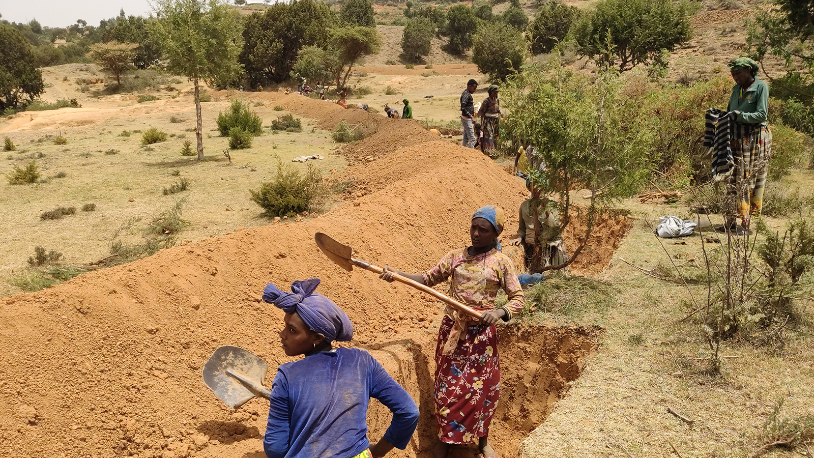 Soil and water conservation structures are built to reduce run-off and improve soil infiltration. © WeForest