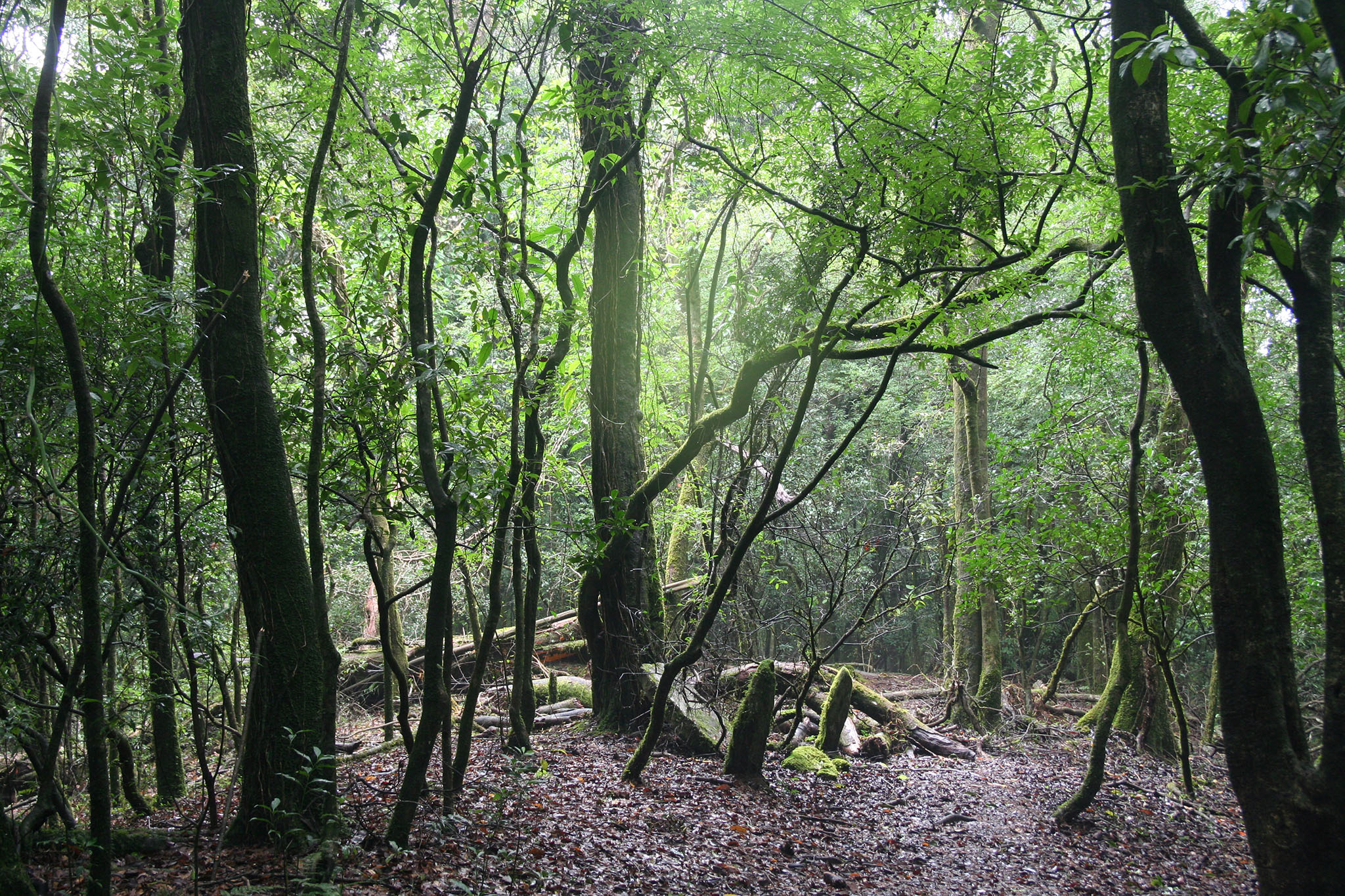 IND_Landscape_September2015_2