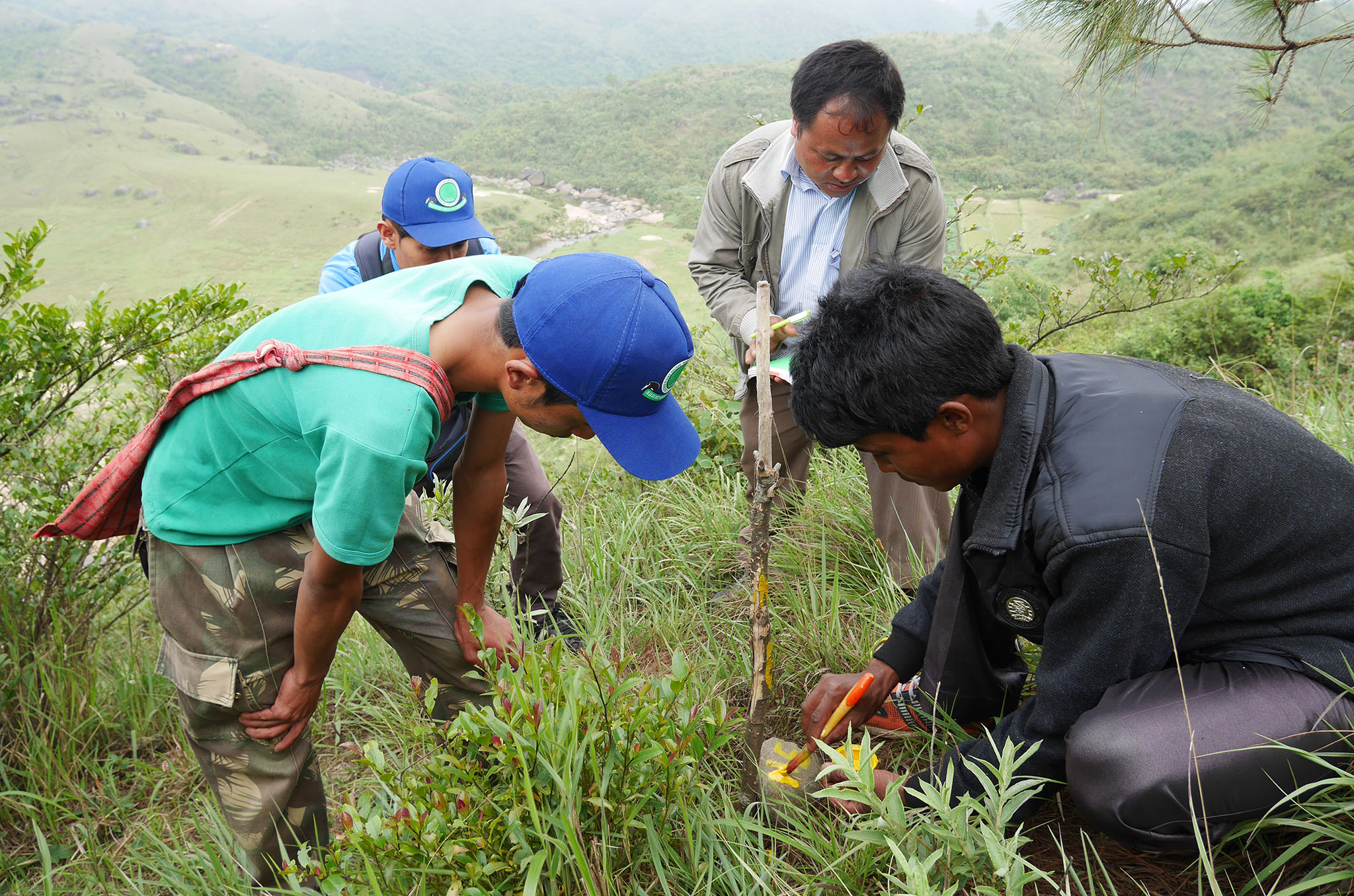 IND_Planting_Plot 6 Kyrphei Hima Mylliem_April2016