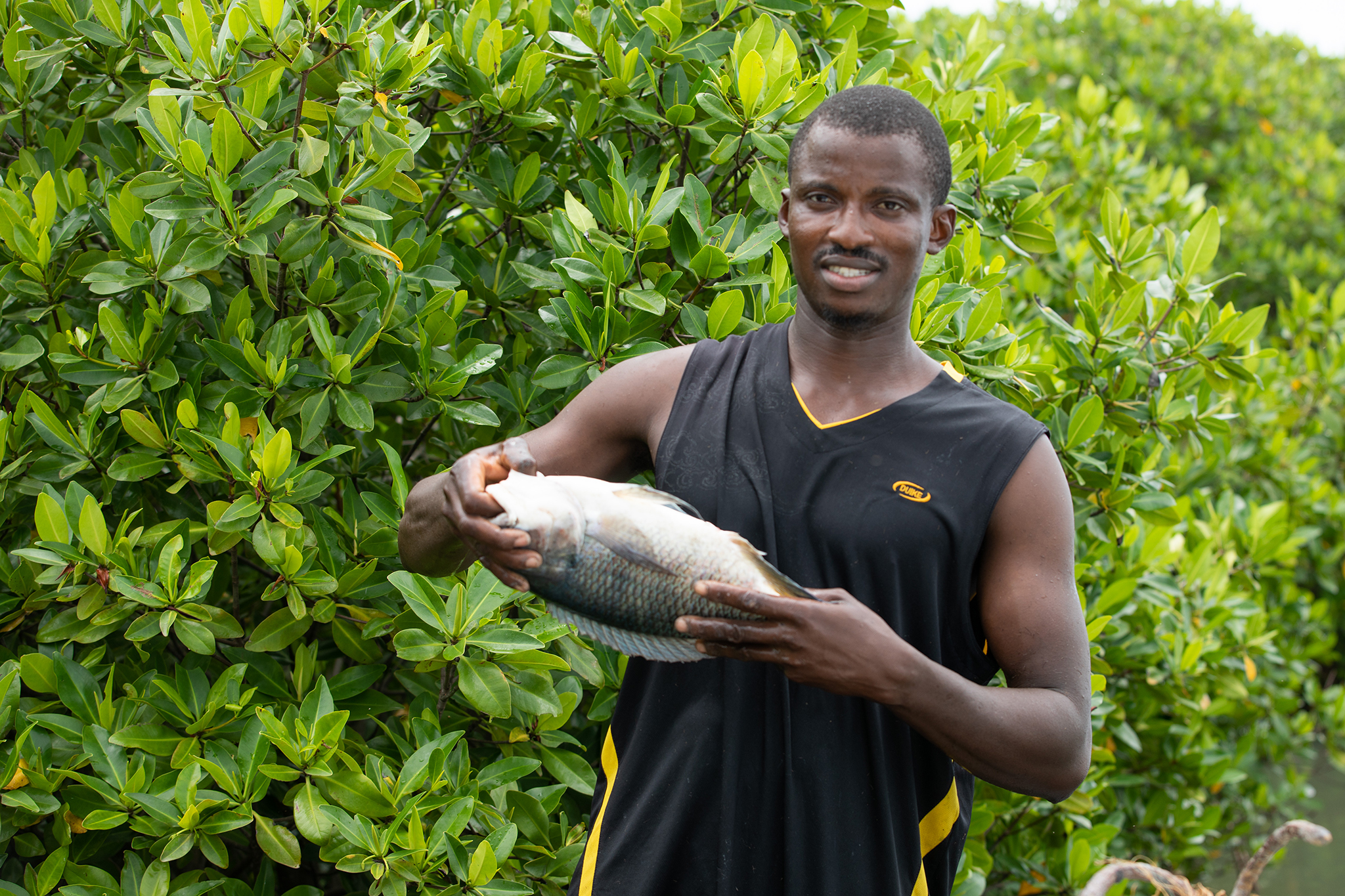 The project will boost fish stocks and create sustainable harvesting opportunities for fishing and shellfish collection on the tidal channels and mudflats. Creating new market opportunities and strengthening local expertise on mangroves could open new opportunities to connect local products to different markets and regions in Senegal. © N. Van Ingen