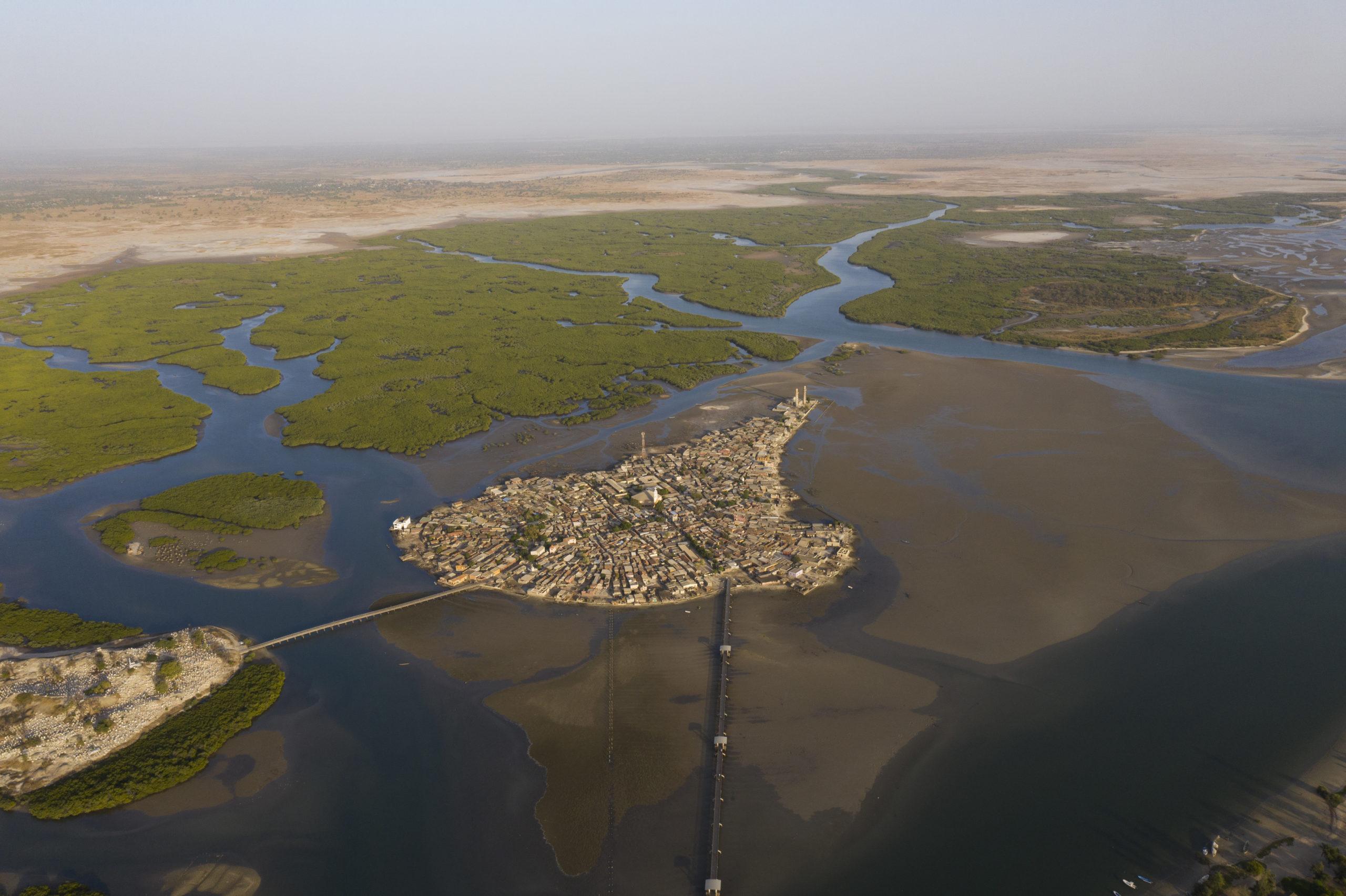 Saltwater inlets extend quite far inland from the sea, making the Sine-Saloum delta the perfect home for mangroves: tropical trees and shrubs that thrive in salty, coastal waters. © Nicolas van Ingen