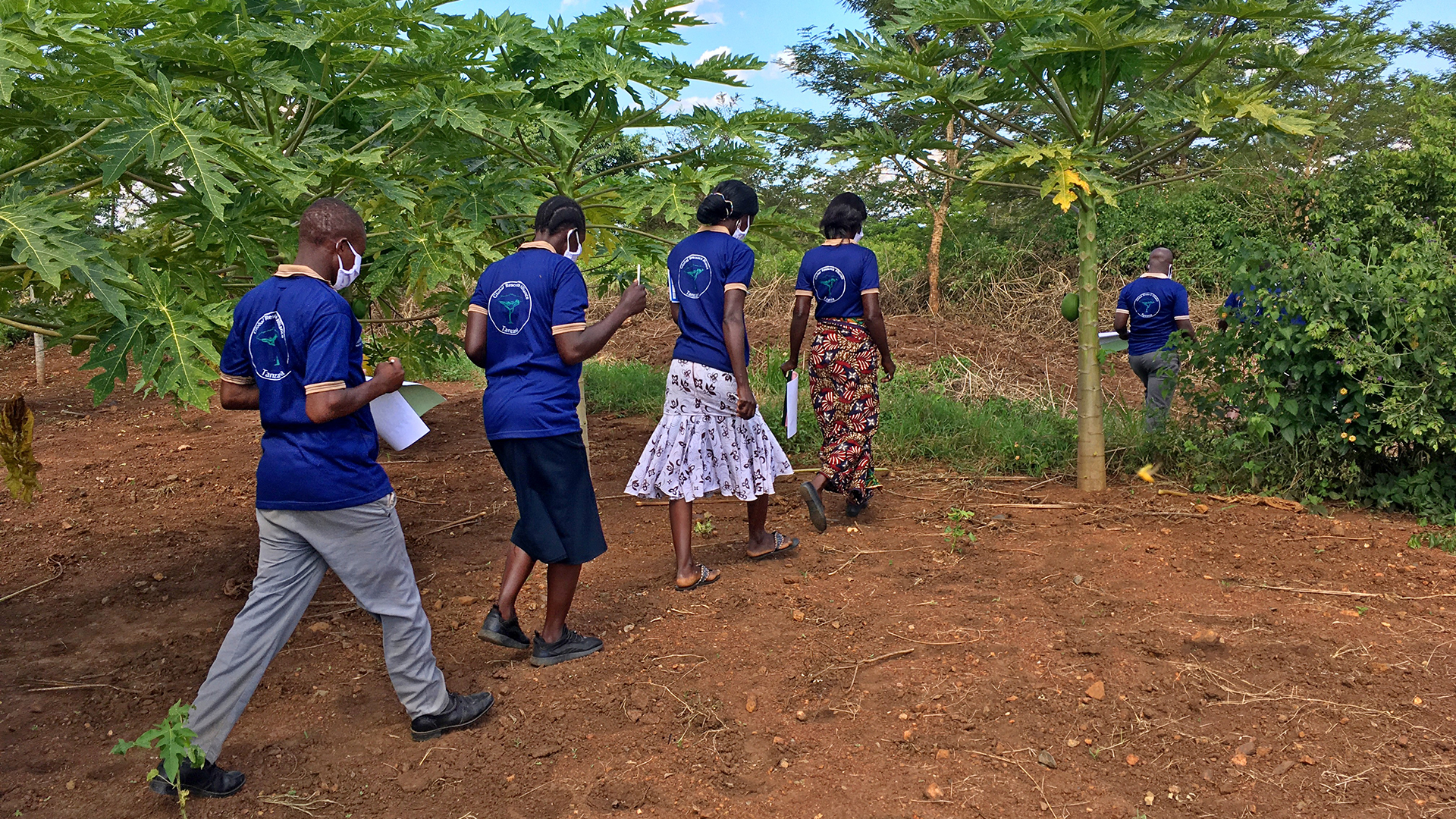 Agroforestry improves and conserves all natural resources - water, soil, biodiversity - on the land. © Corrie Mauldin, WeForest