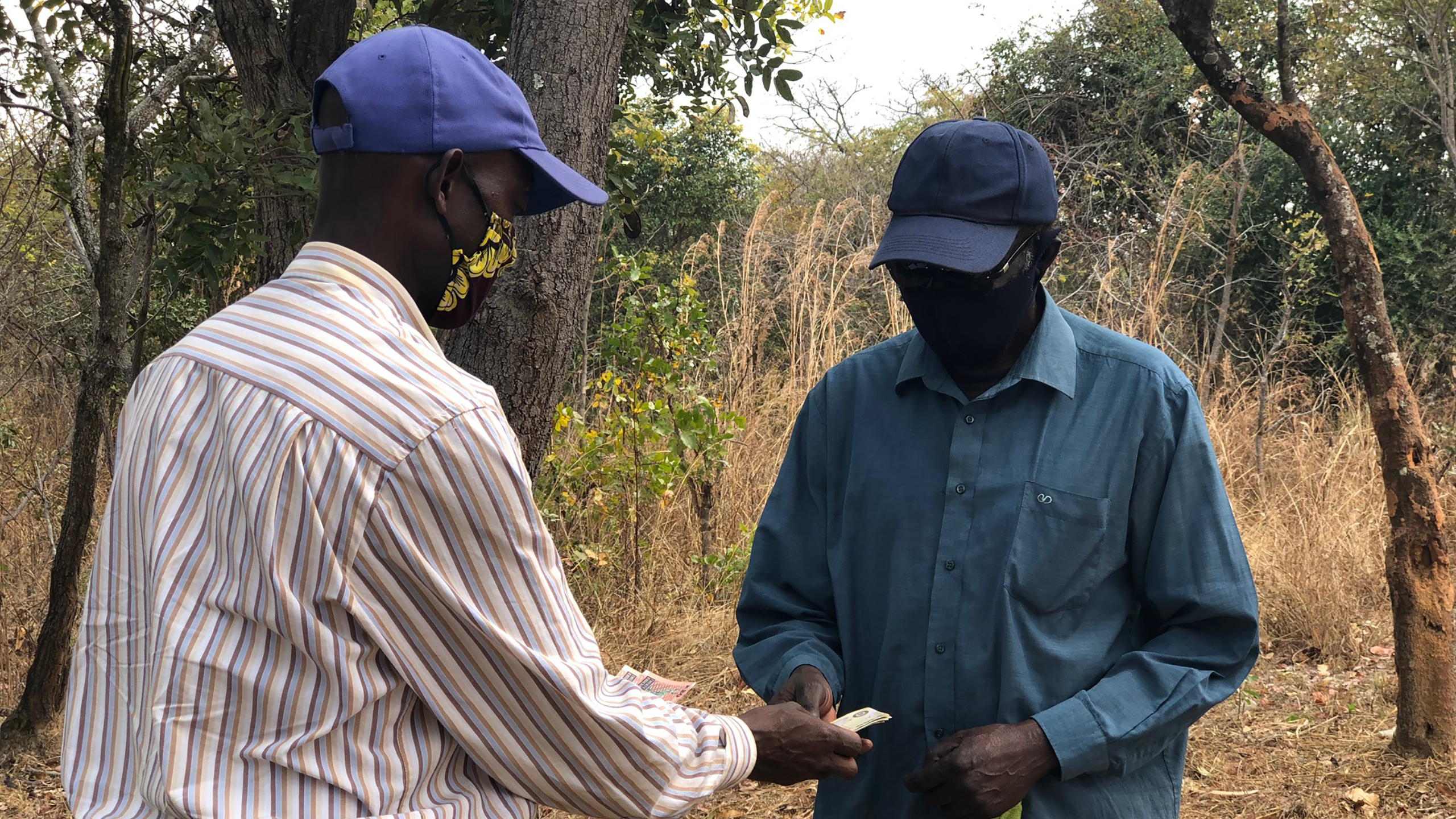 Beehives installed in farmers’ woodlots allow them to earn a steady income from a healthy, flourishing forest, doubling their annual income in some cases. © WeForest