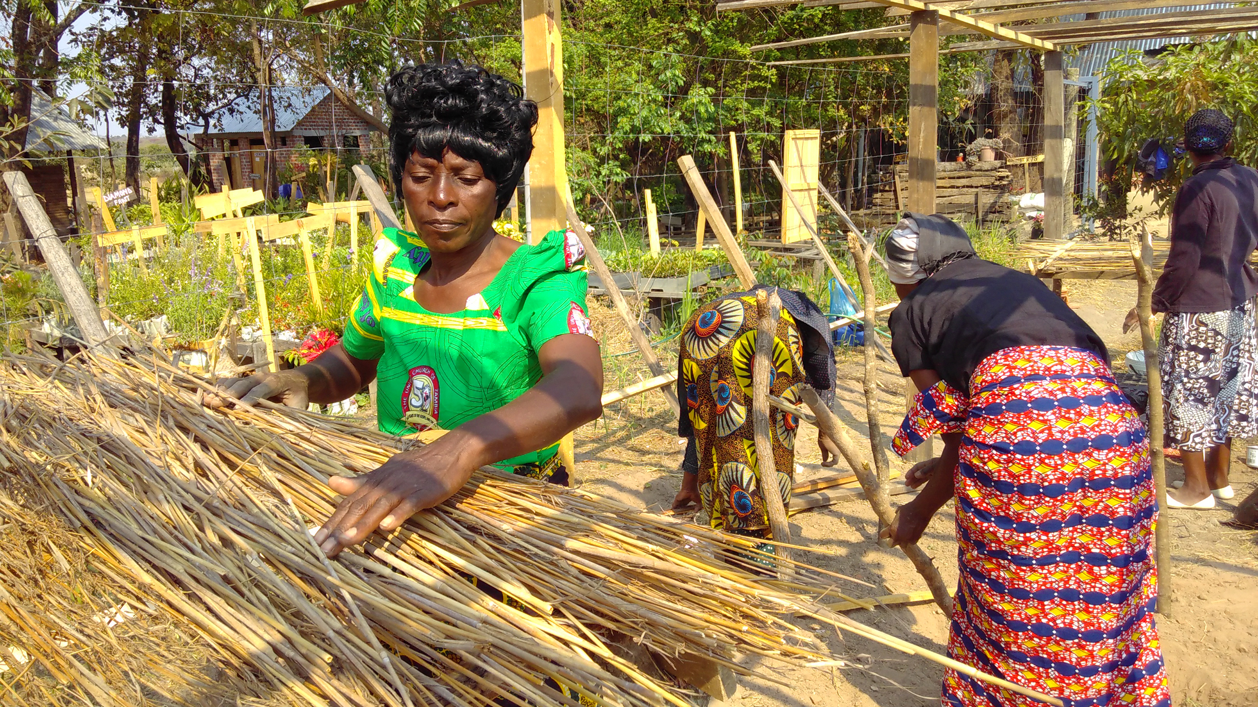 Local women are trained in fruit tree grafting and nursery management. © WeForest