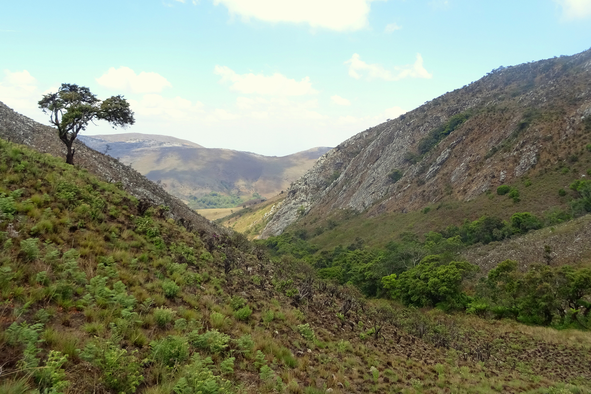 The source of the mighty Luangwa River, an essential watershed for the farming and fishing communities downstream, lies in the Mafinga Hills. This montane area stretches over 12,000 ha and incorporates parts of a National Forest Reserve. © Ruben Foquet, WeForest
