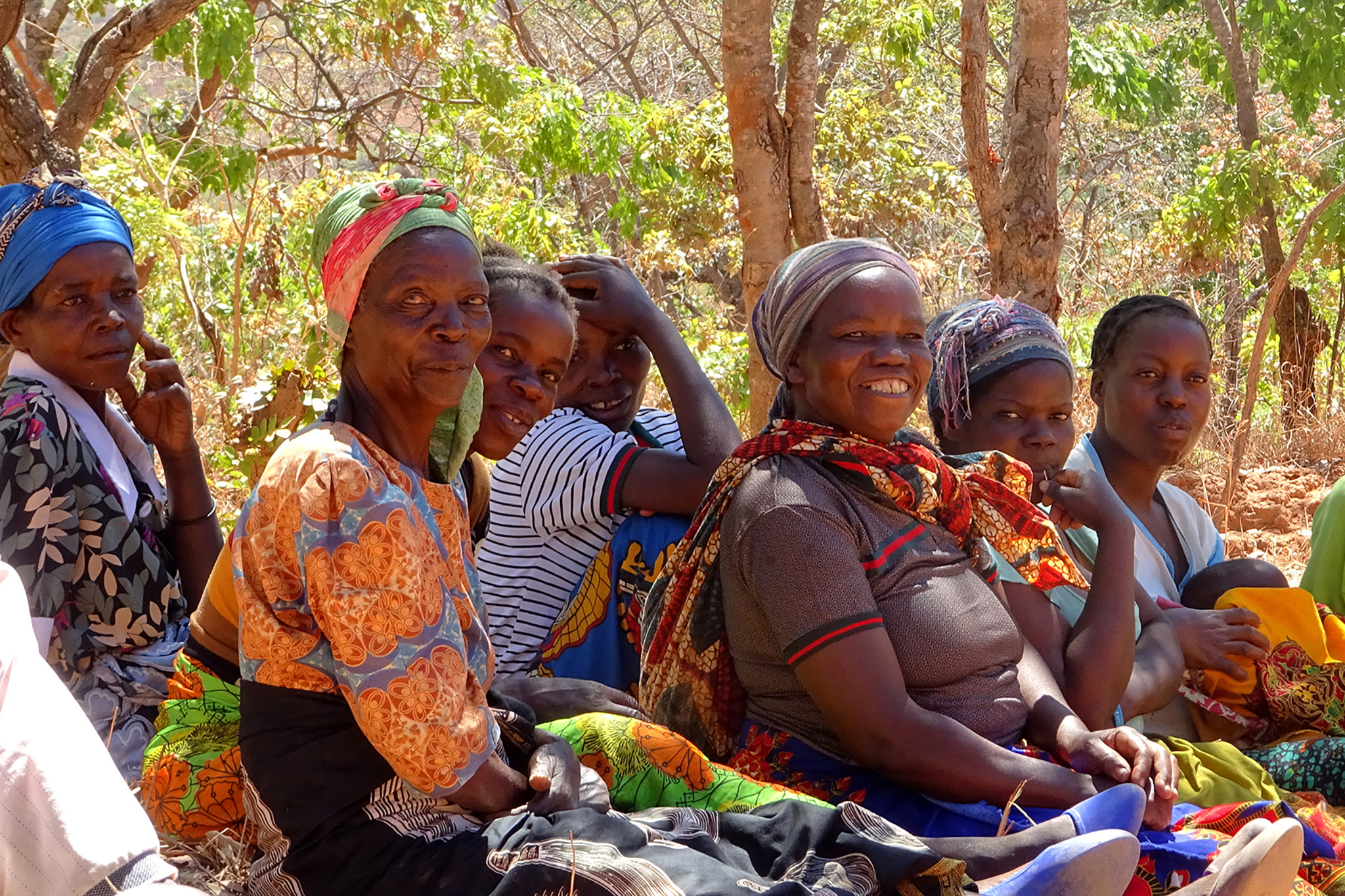 To increase the well-being and climate resilience of the farming communities neighbouring the massif, we will develop and diversify alternative livelihoods, potentially including beekeeping and/or poultry. © Ruben Foquet, WeForest