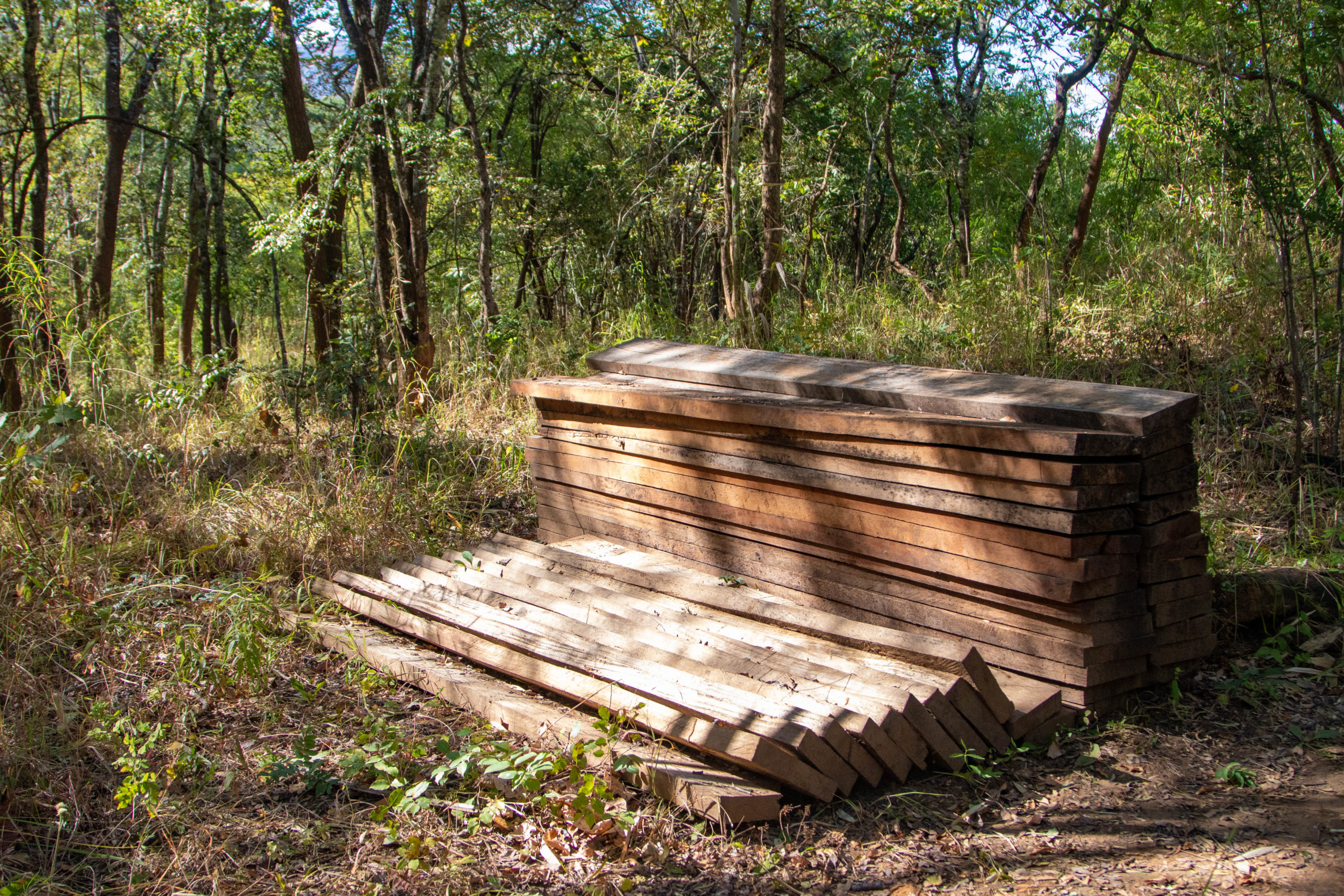 Deforestation here is driven by agricultural expansion, chitemene (slash-and-burn agriculture), uncontrolled bush fires, timber logging and the collection of firewood. © Ruben Foquet, WeForest