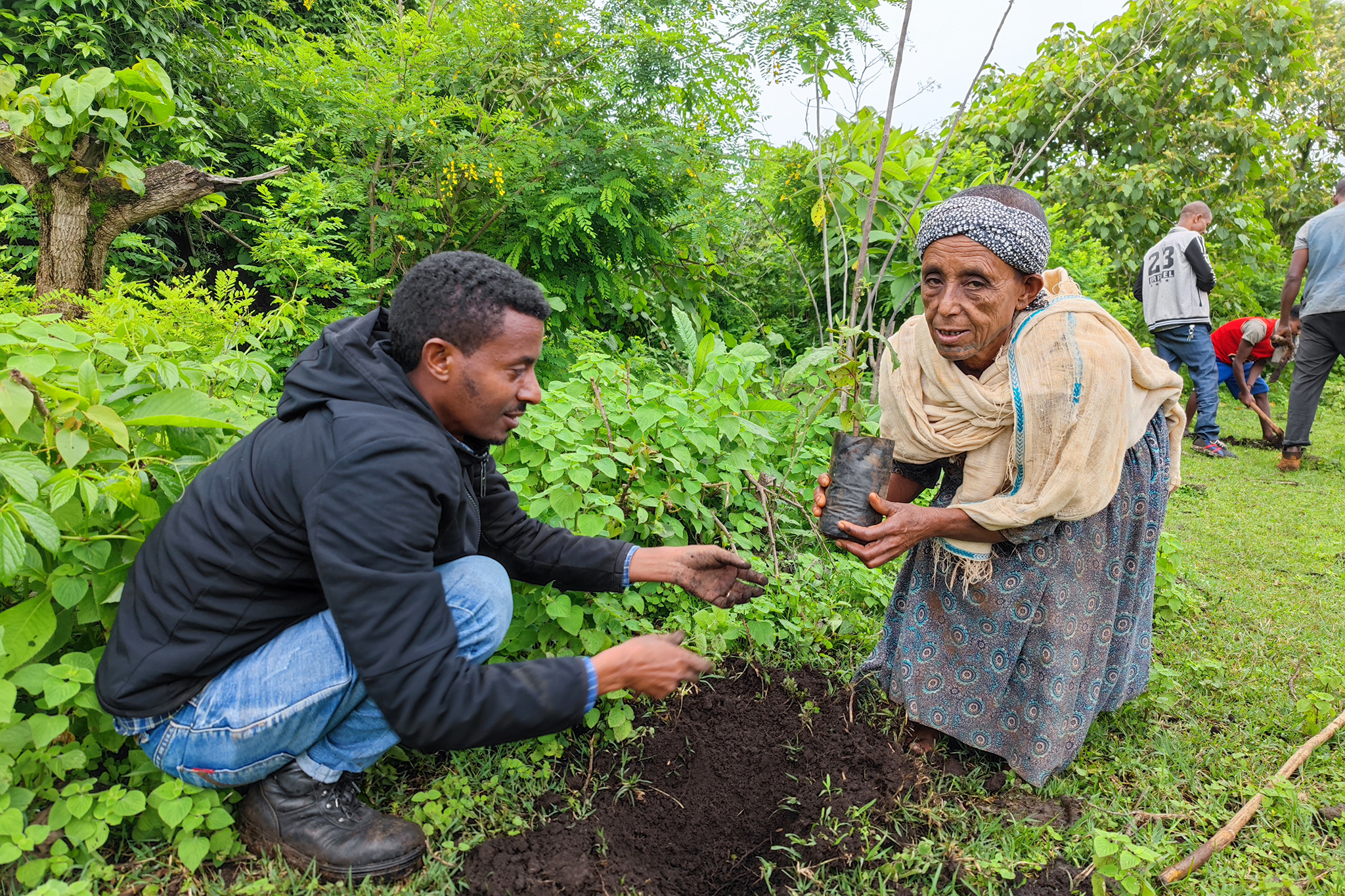 On the smallholder farms, 1.9 million seedlings of native and exotic species will be grown. High-value fruit trees and other species for forage and fuel wood will also be planted. © WeForest