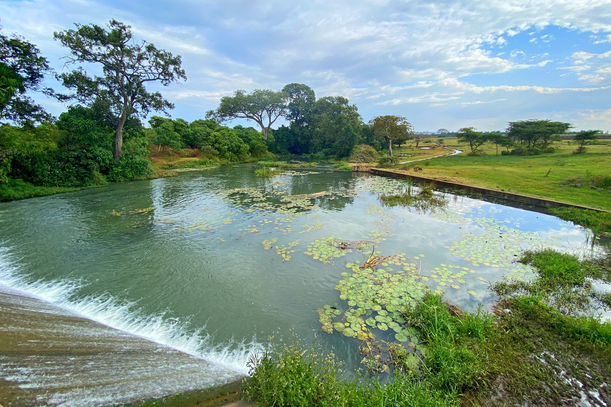 Once rejuvenated, these areas will become an important source of grass/fodder, fuelwood, small timber, medicinal plants, recharge of streams and groundwater, and a carbon sink. © WeForest