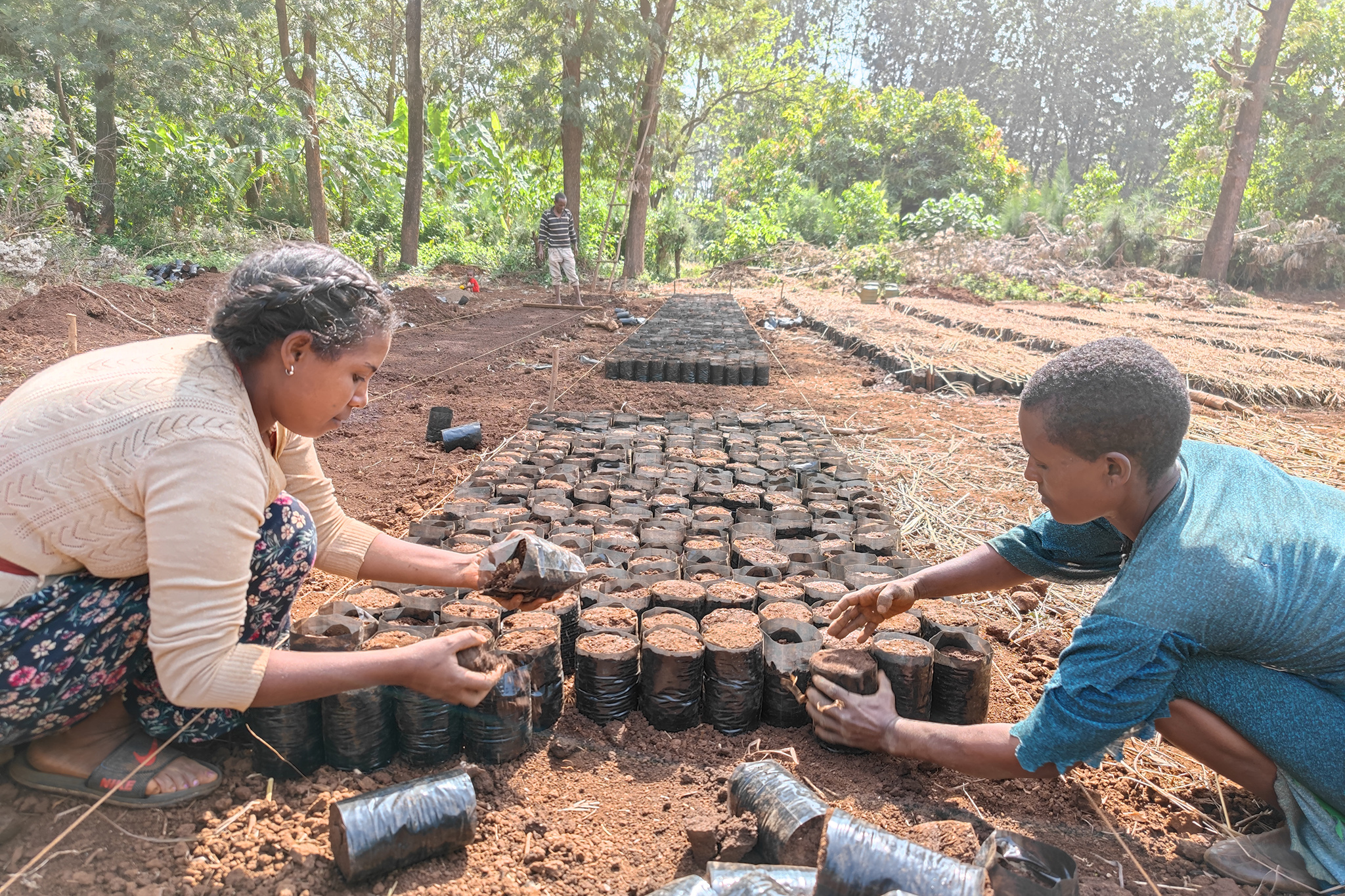 The project will support the communities to develop their own vision, commitments and concrete action plans to a) reduce hunger and poverty, b) improve women’s empowerment and leadership, and c) strengthen self-reliant income generating activities and entrepreneurship. © WeForest