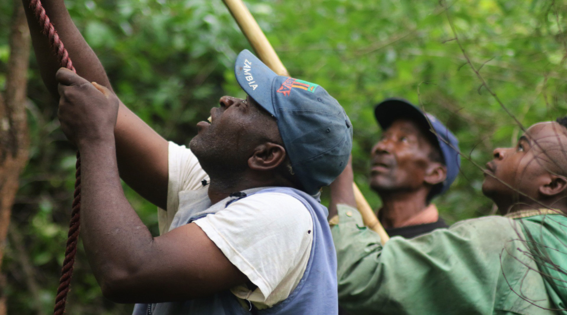 In return for setting aside part of their land for Assisted Natural Regeneration, farmers receive beehives. © WeForest