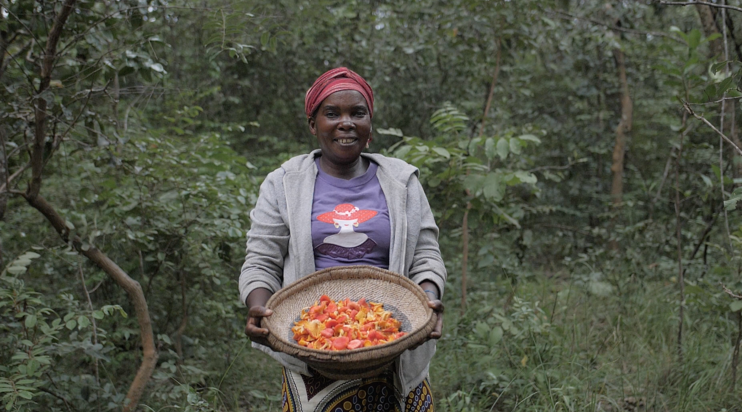 The trees in miombo woodlands have symbiotic relationships with mushrooms, an important local food source. © Rusty Mokoro