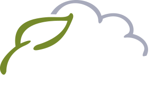 WeForest