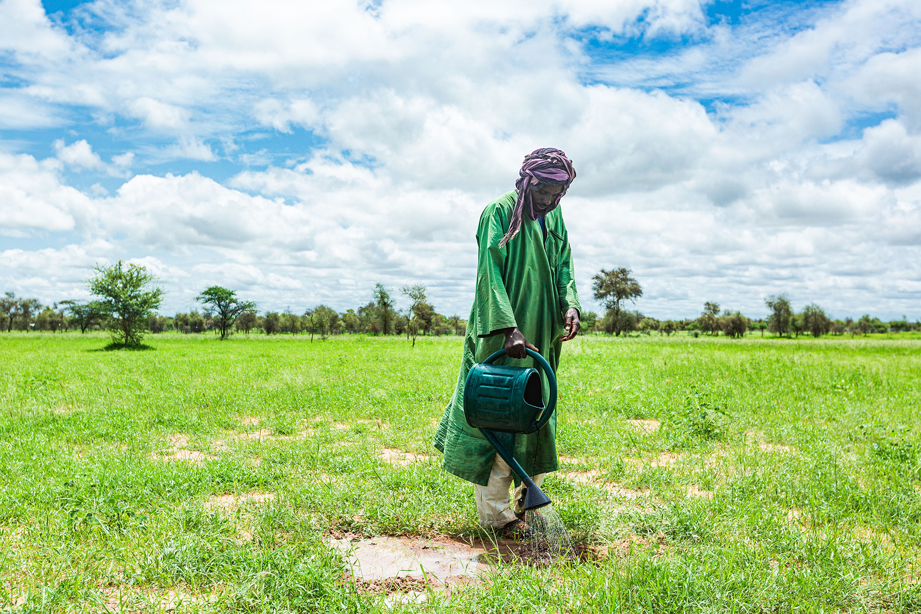 Low rainfall areas like this need good methods of capturing and retaining water for planted trees to have a chance to survive. So far, there has been poor progress on restoration in this region. © Aldi Diasse