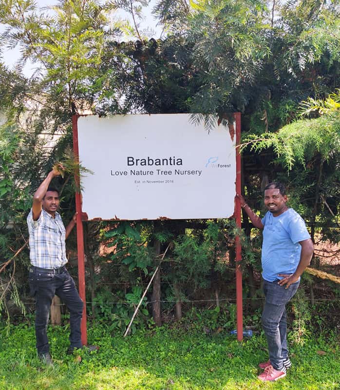 Weforest Reforestation Organization