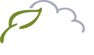 WeForest
