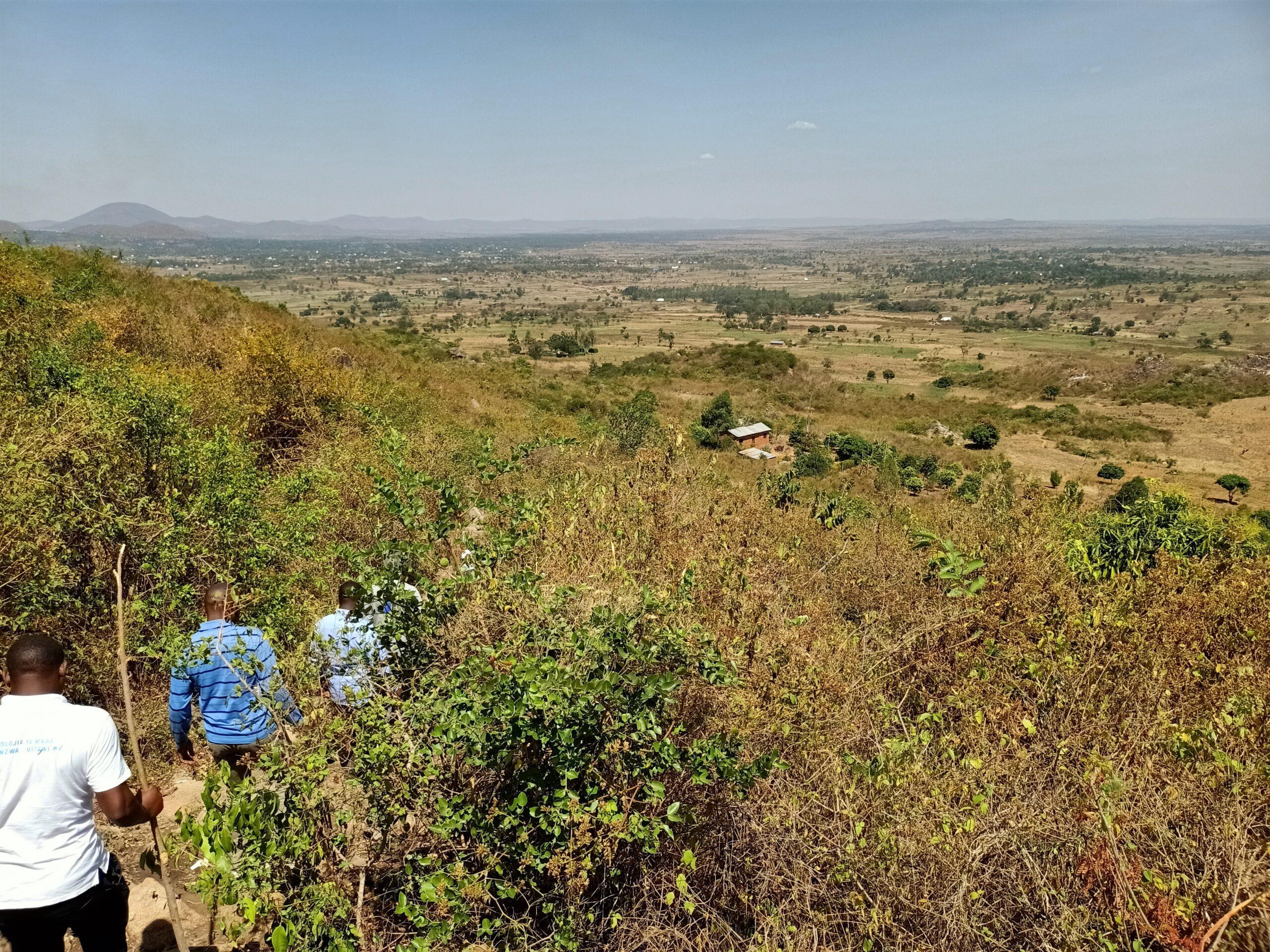 The total restoration area is 3868 ha in the first 4 years, of which 1500 ha fall within the boundaries of Busegwe, Kigori, Mwikoro, Nyanza and Singu villages.