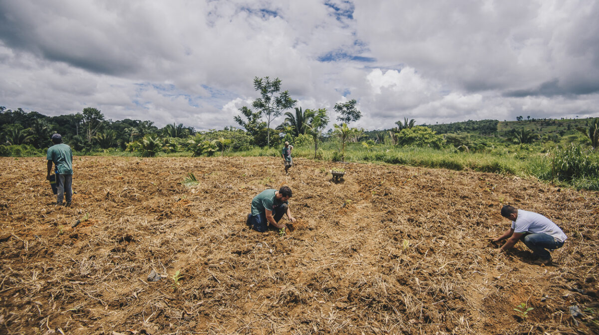 Farmers will receive technical support and training throughout the project to establish silvopastoral and agroforestry systems, as well as strengthening local expertise on forest restoration and sustainable farming. The signed landowners agree to halt fire and/or deforestation activities. © IDESAM