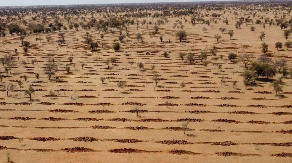 Half moons in the Sahel