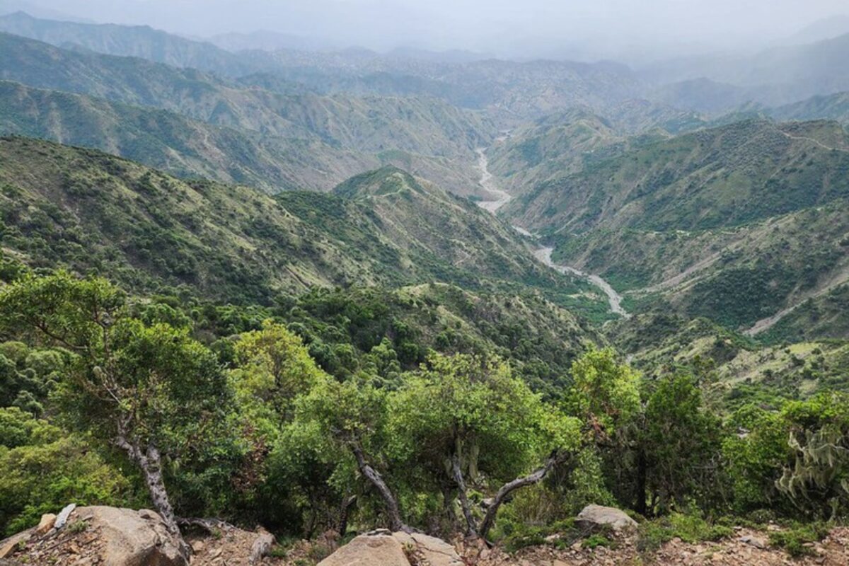 How to restore a biodiversity hotspot—one drop of water at a time