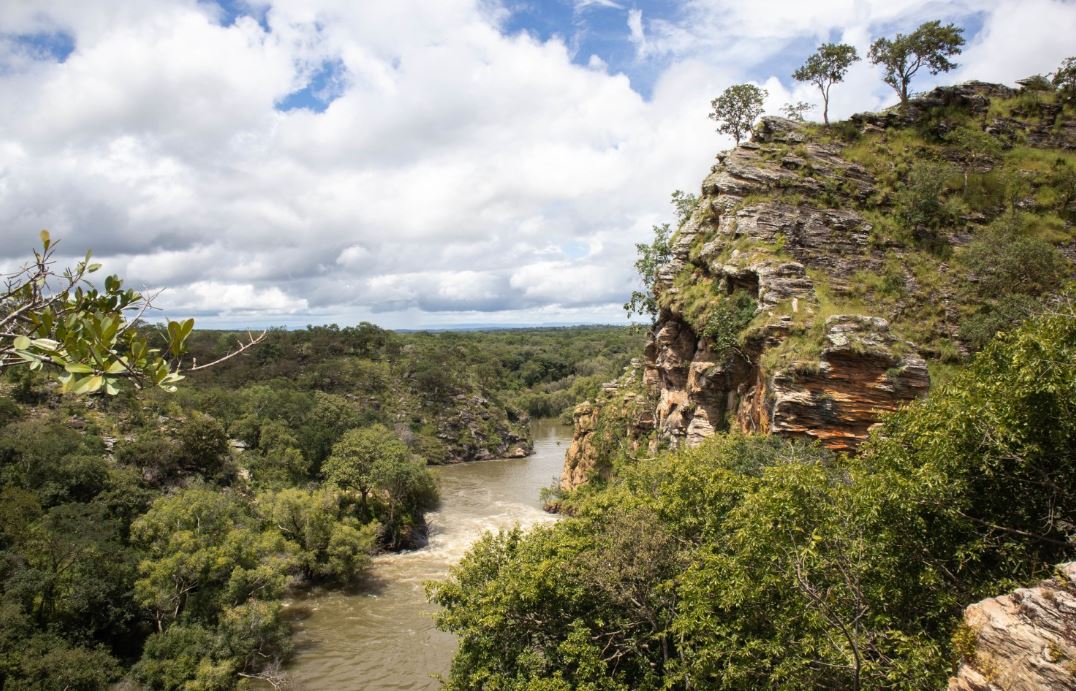 Photo by Sybryn Maes, Copperbelt Forest, Zambia