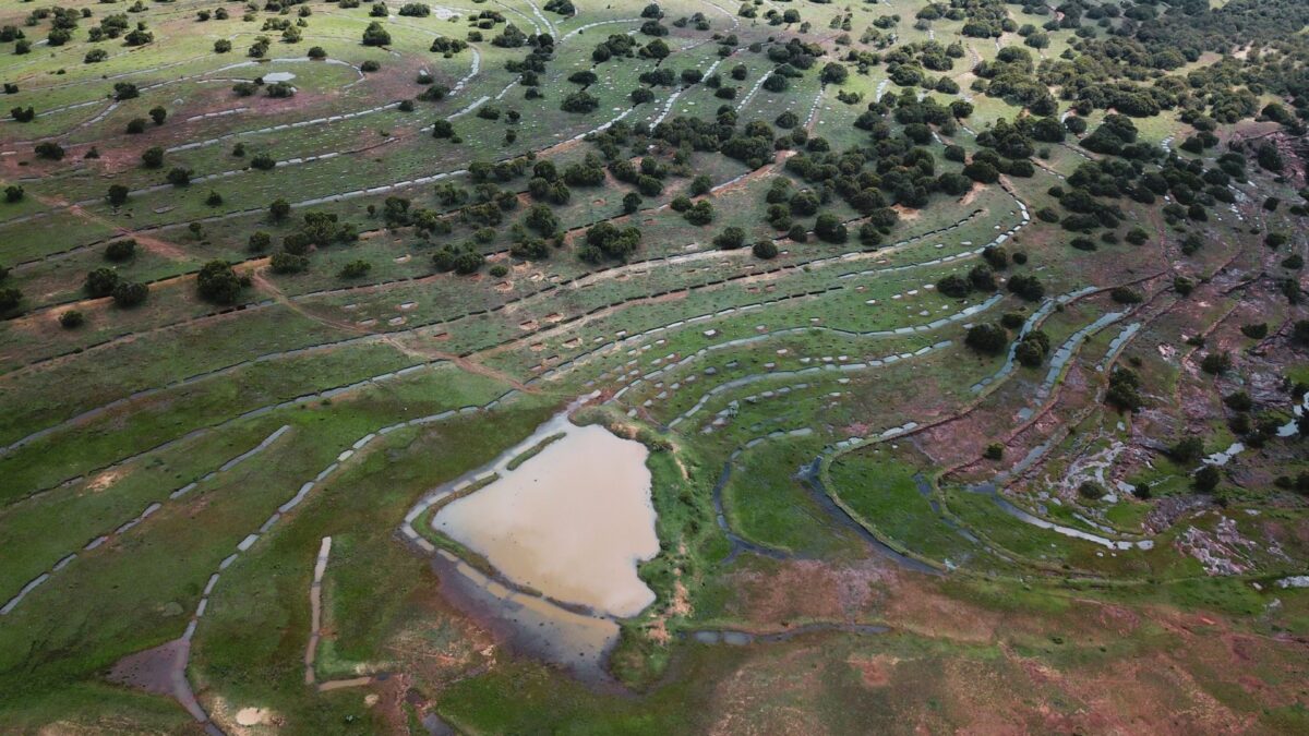 Aerial view of water retention techniques transforming the landscape in Desa'a, Ethiopia..