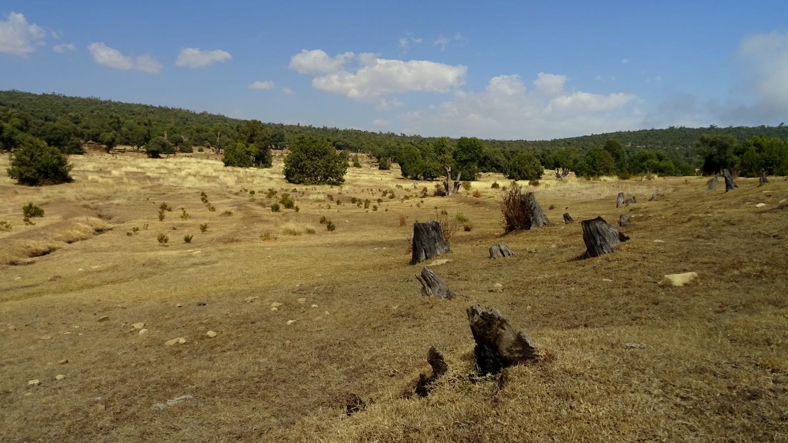 The immediate consequence of the desertification here is erosion of topsoil and the significant reduction of agricultural yields for smallholder farmers. Even more alarming is the possible long-term impact on local cloud formation and rainfall, causing more frequent droughts and food insecurity. © WeForest