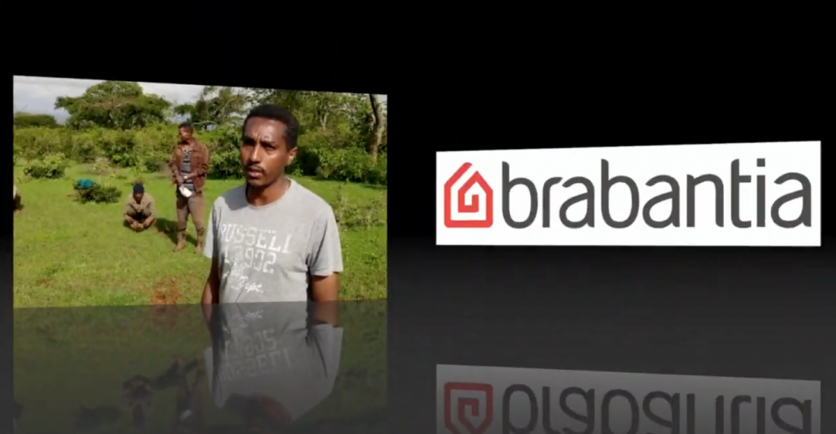 Amhara_Brabantia_Aklilu