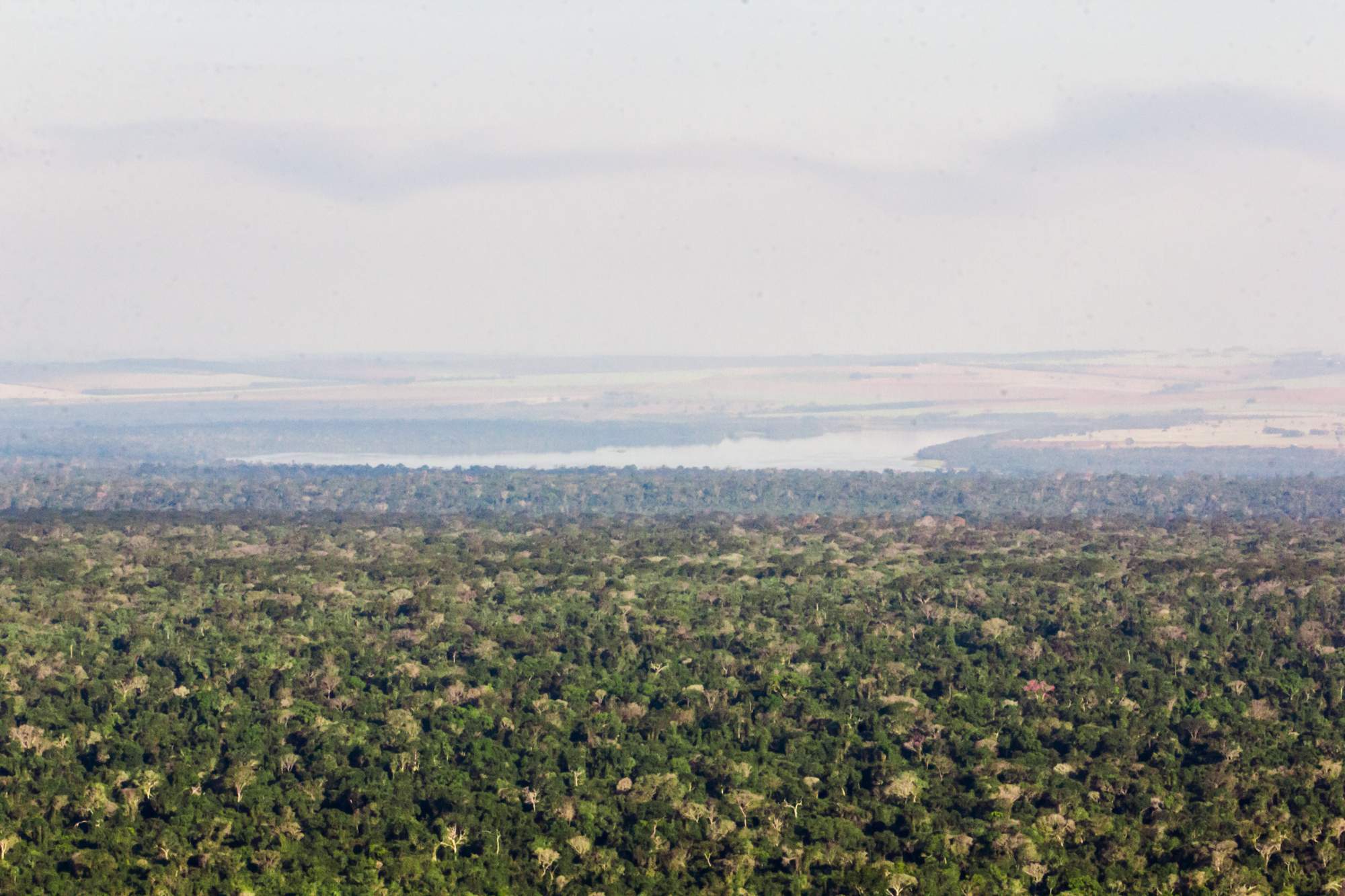 BRA_CanopyWideShot_July2016_Â©WeForest