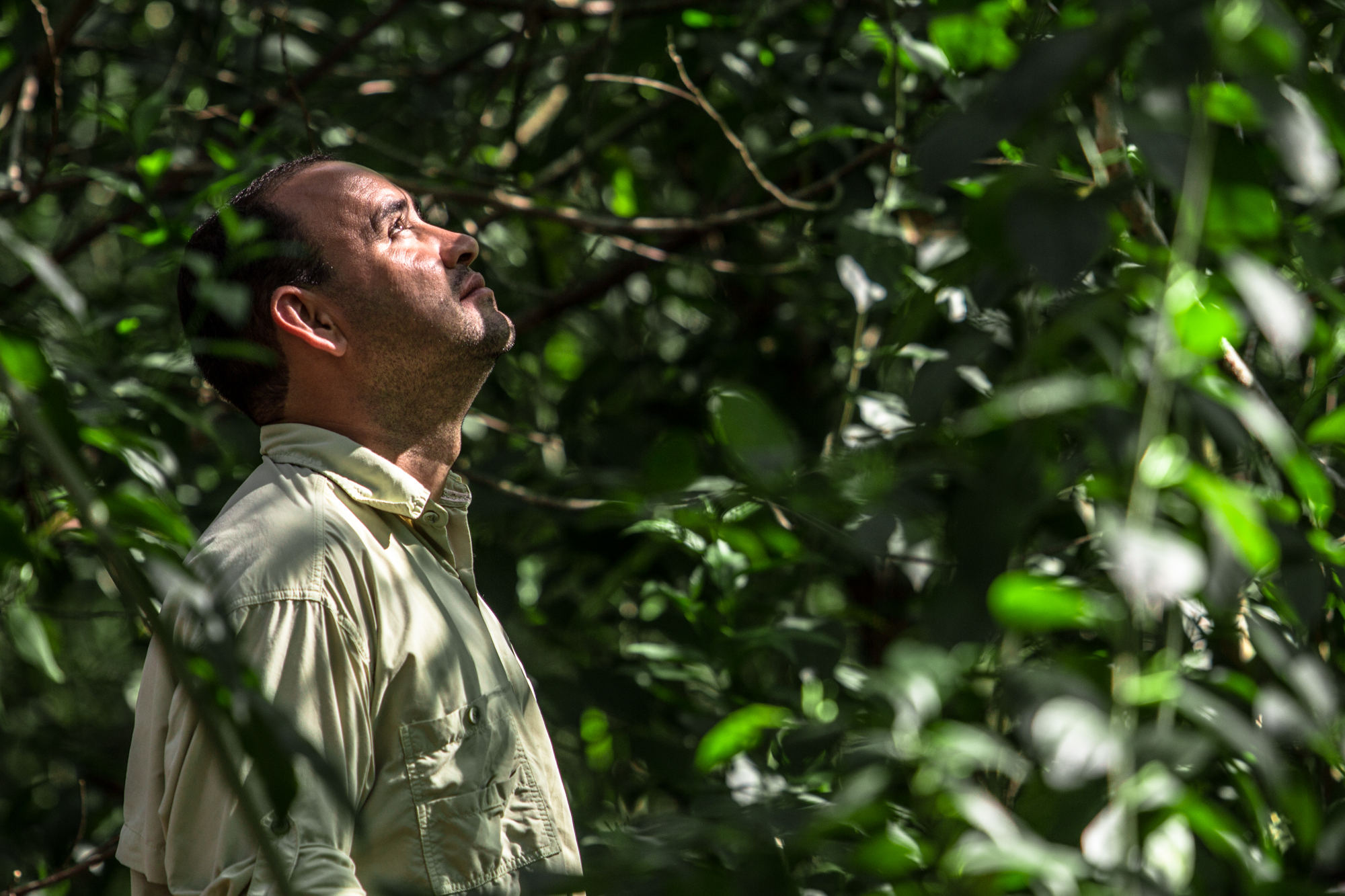 BRA_HaroldoBorgesGomesInForest_July2016_©WeForest