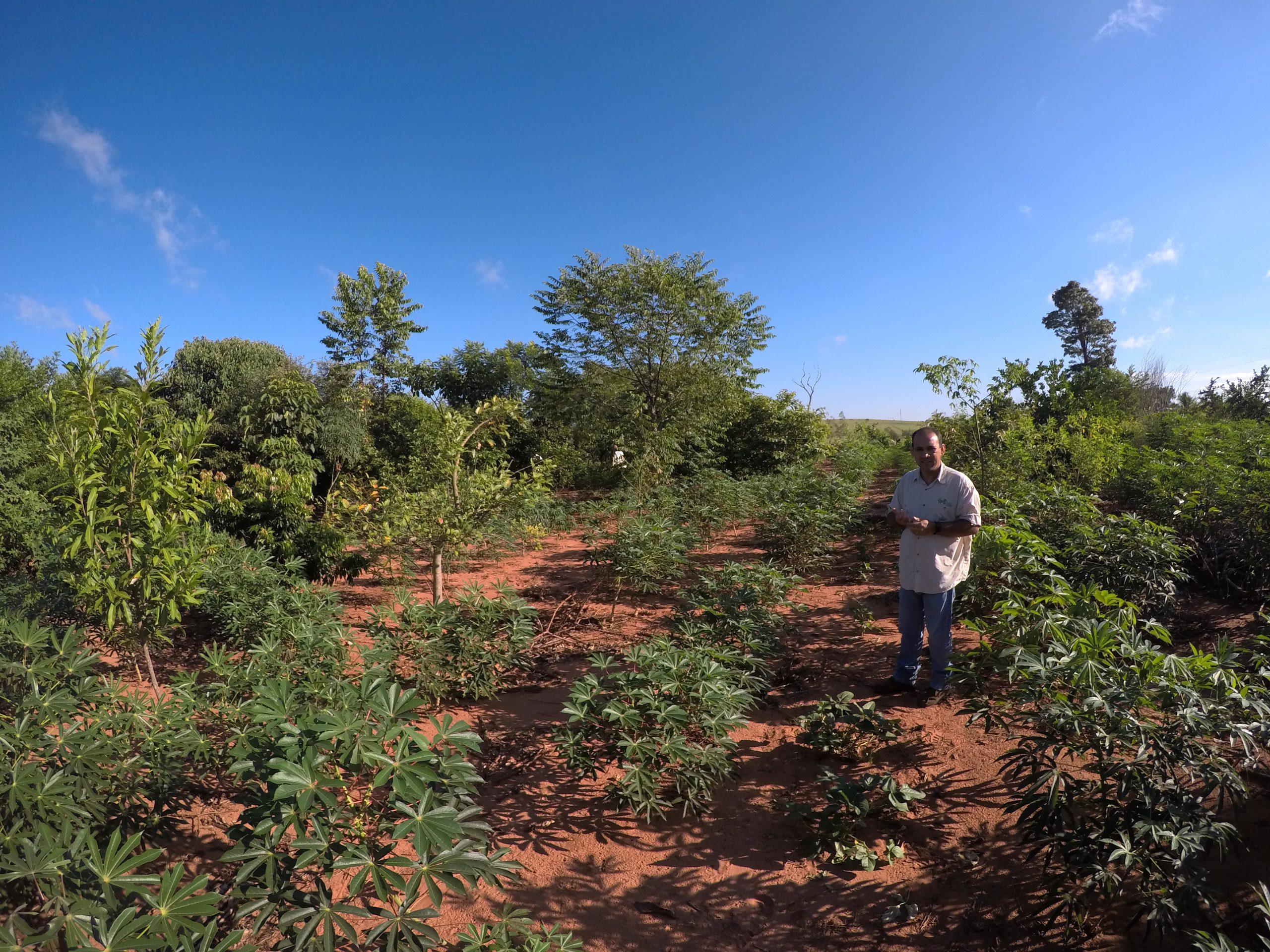 BRA_Planting_Agroforestry_©WeForest