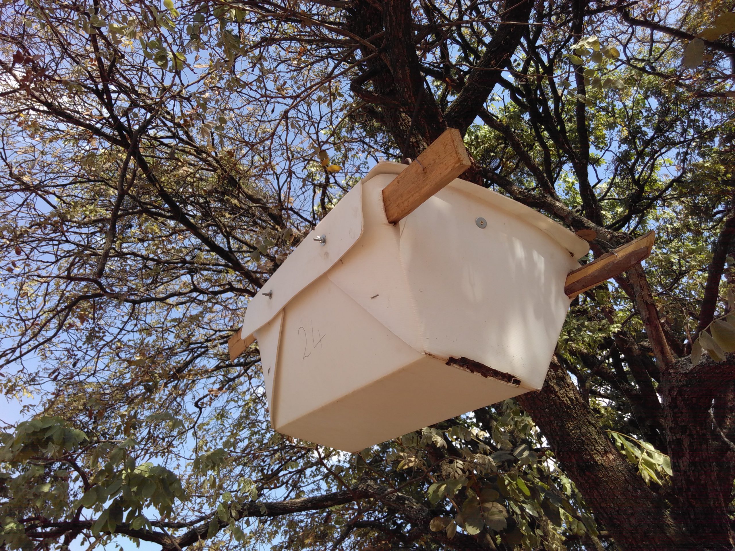 Beehive