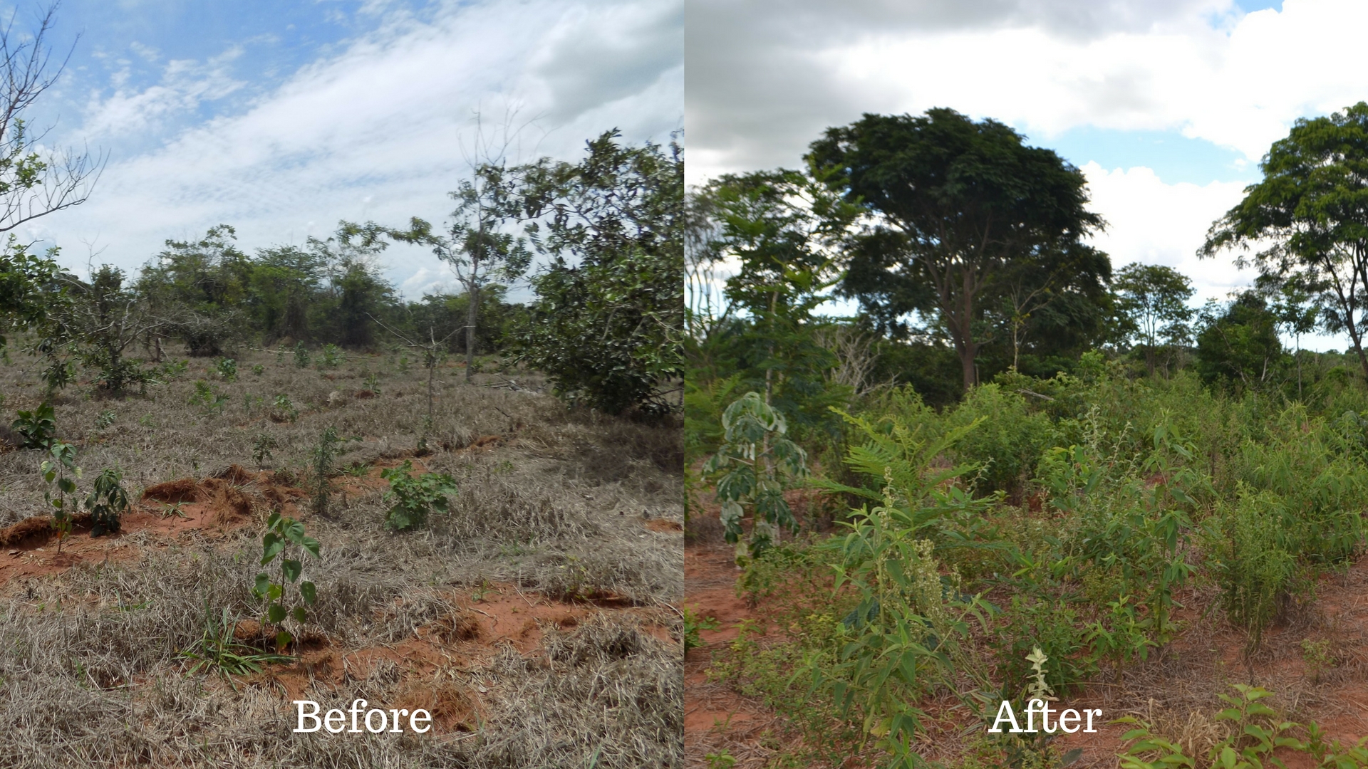 Brazil Before & After