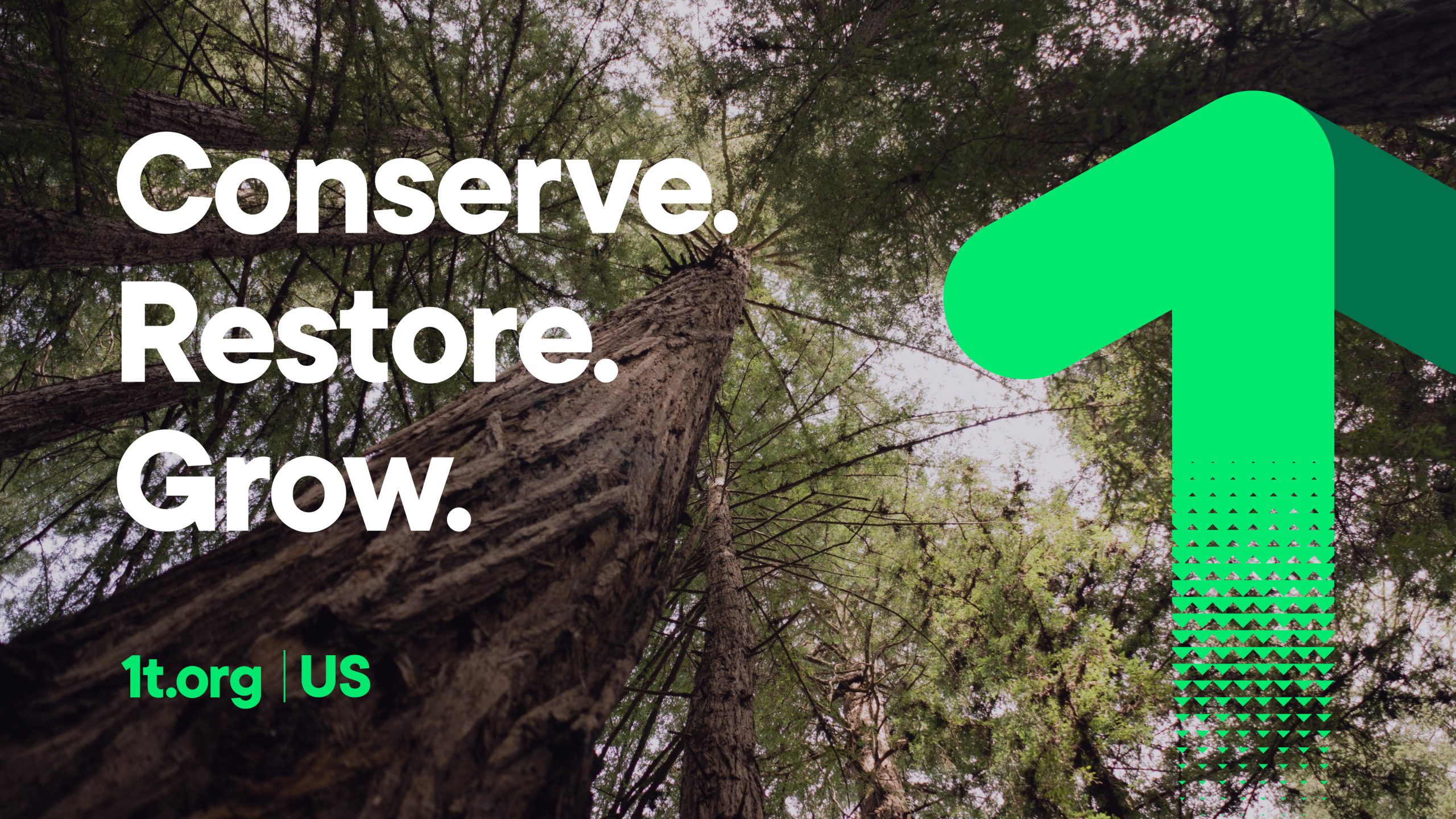 Conserve, Restore, Grow