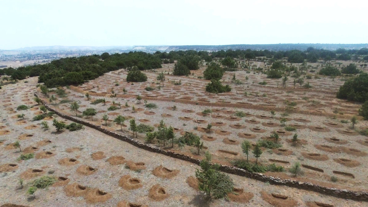 desertification