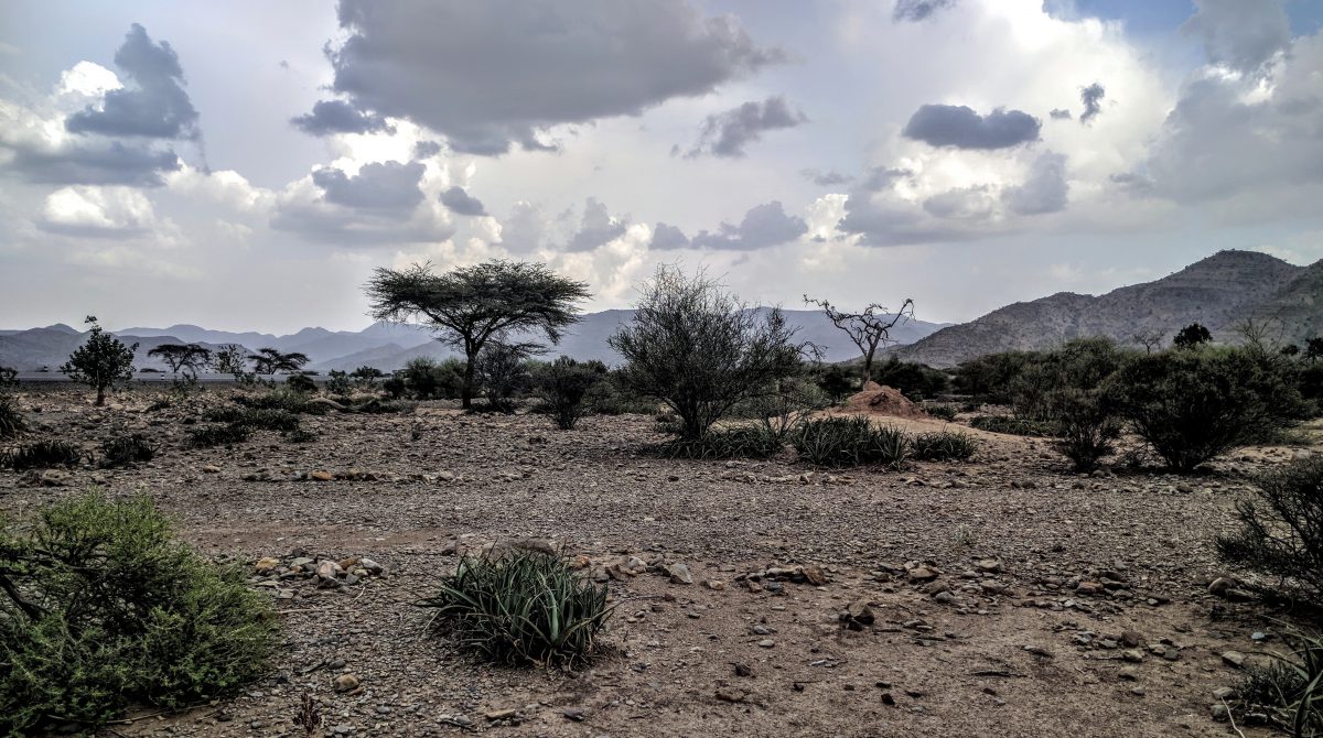 ET_D_KD_2017_08_Landscape_Forest